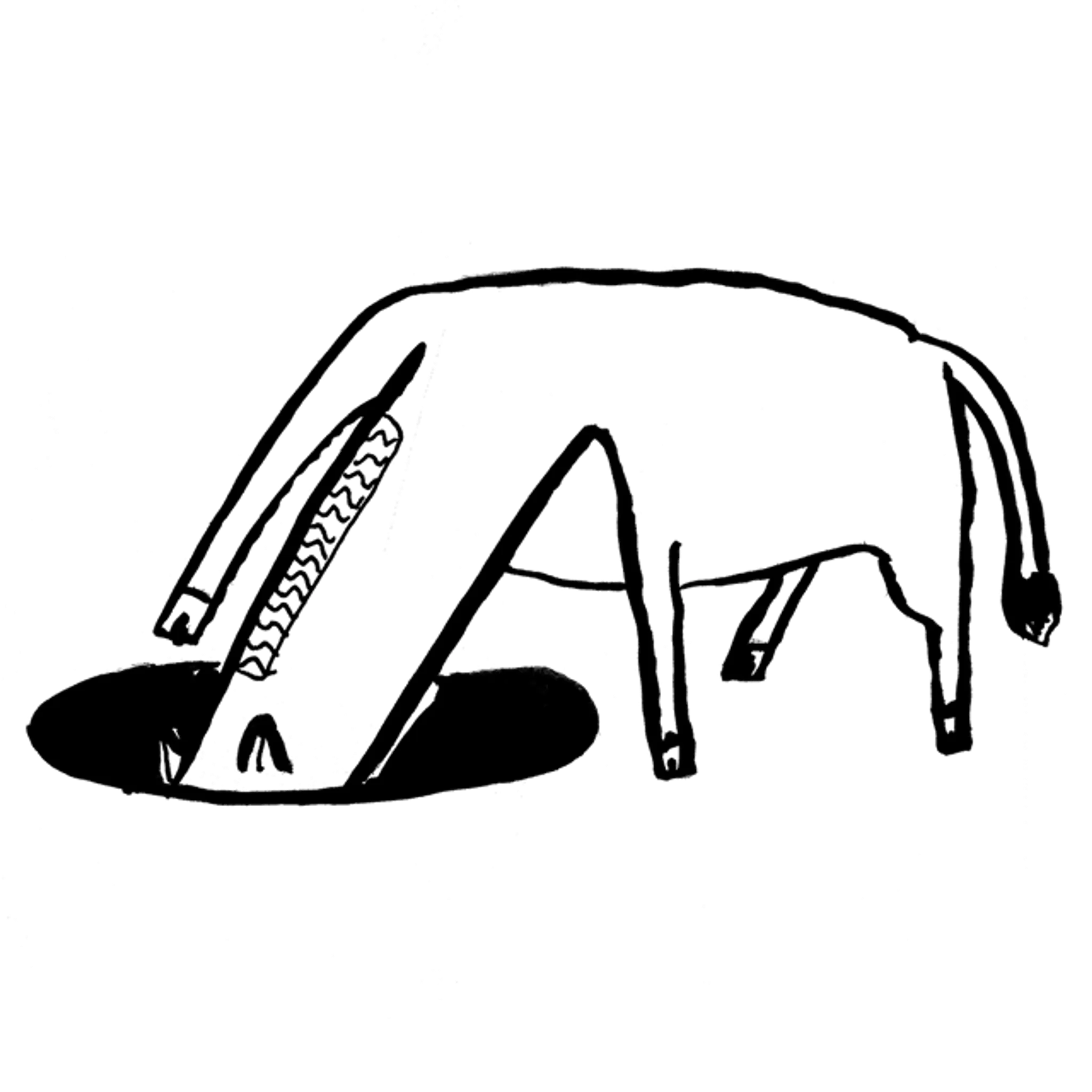 AG Fitness - Personal Training Gym & Online Coaching