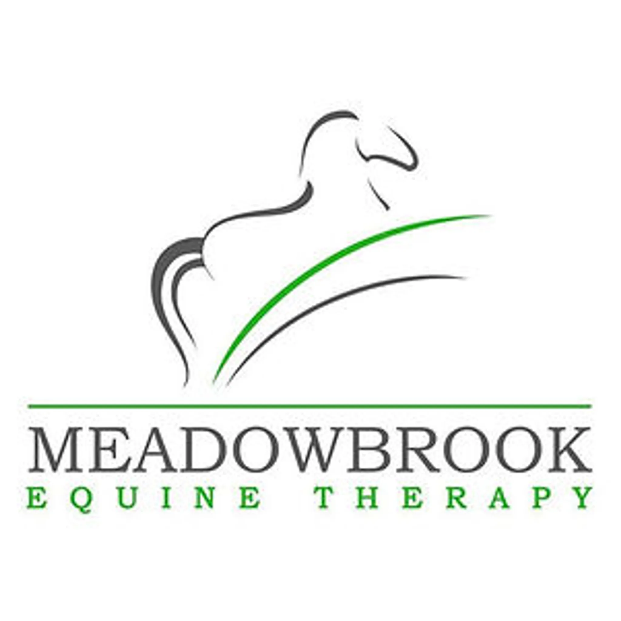 Meadowbrook Equine Therapy