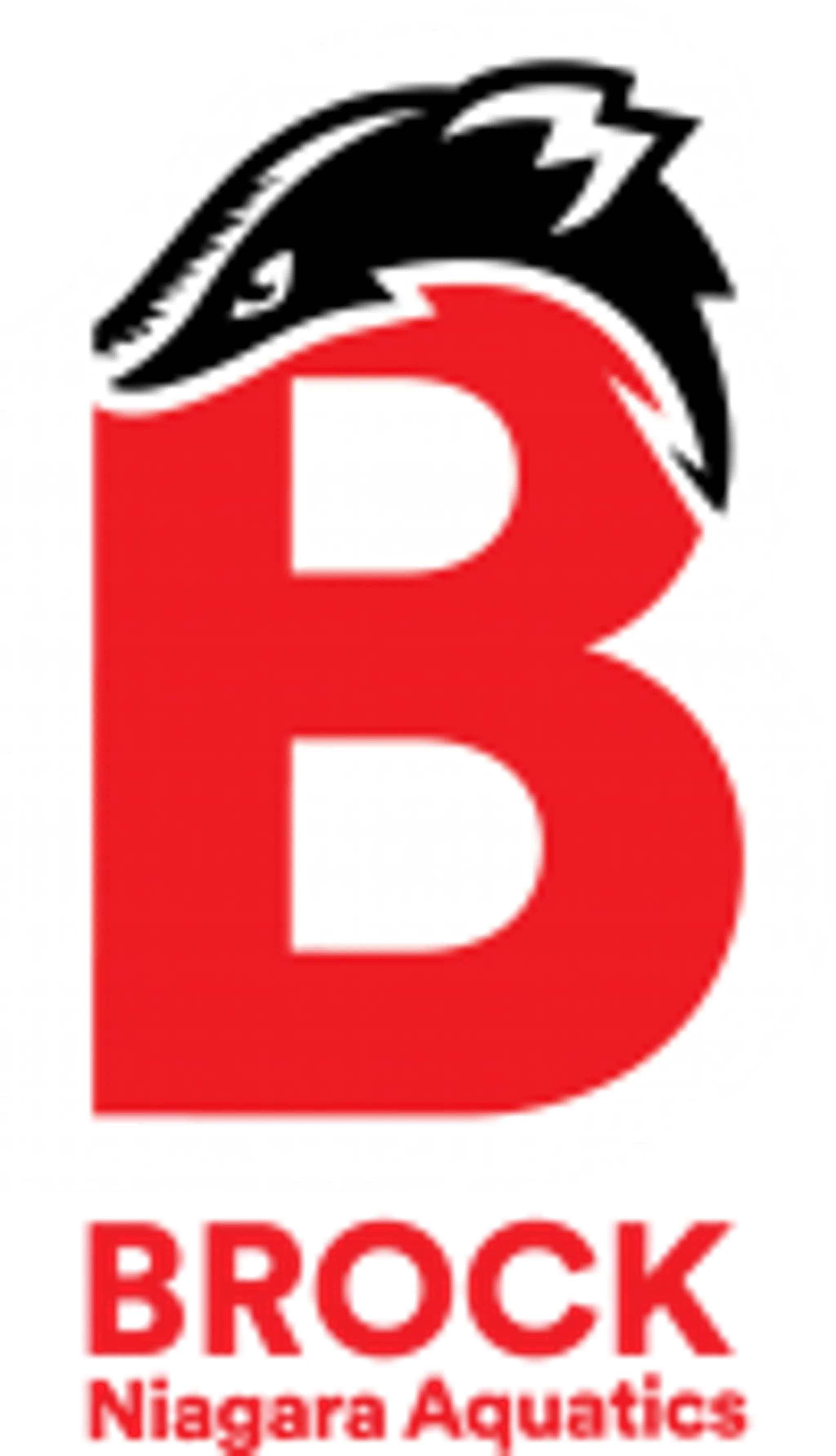 Brock Niagara Aquatics - competitive swim team