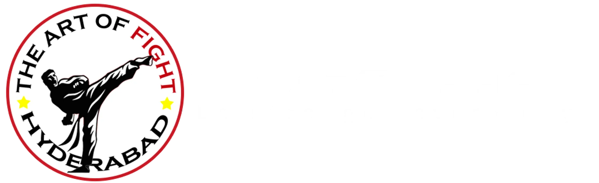 The Art of Fight | Martial arts Academy | karate academy| kung Fu academy