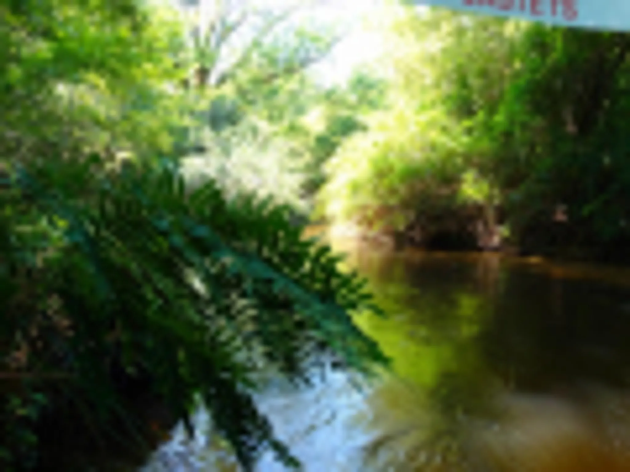 Canoe & Kayak Club Palue Castets