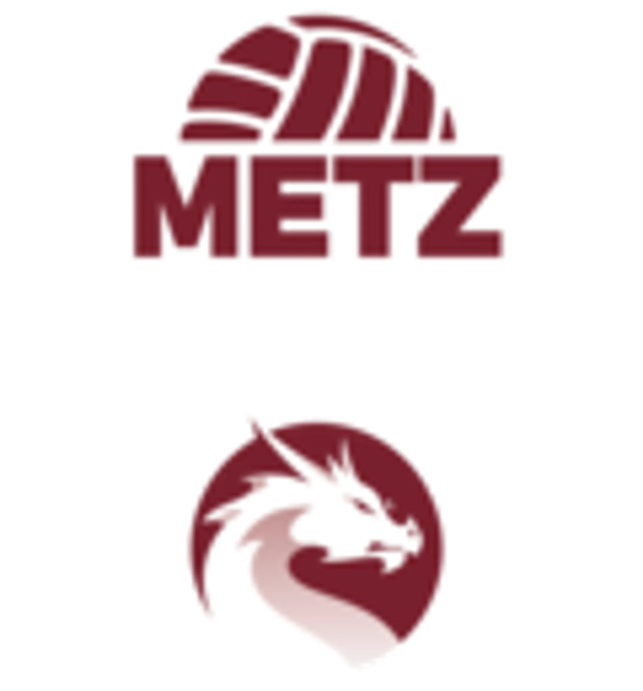 METZ VOLLEY BALL