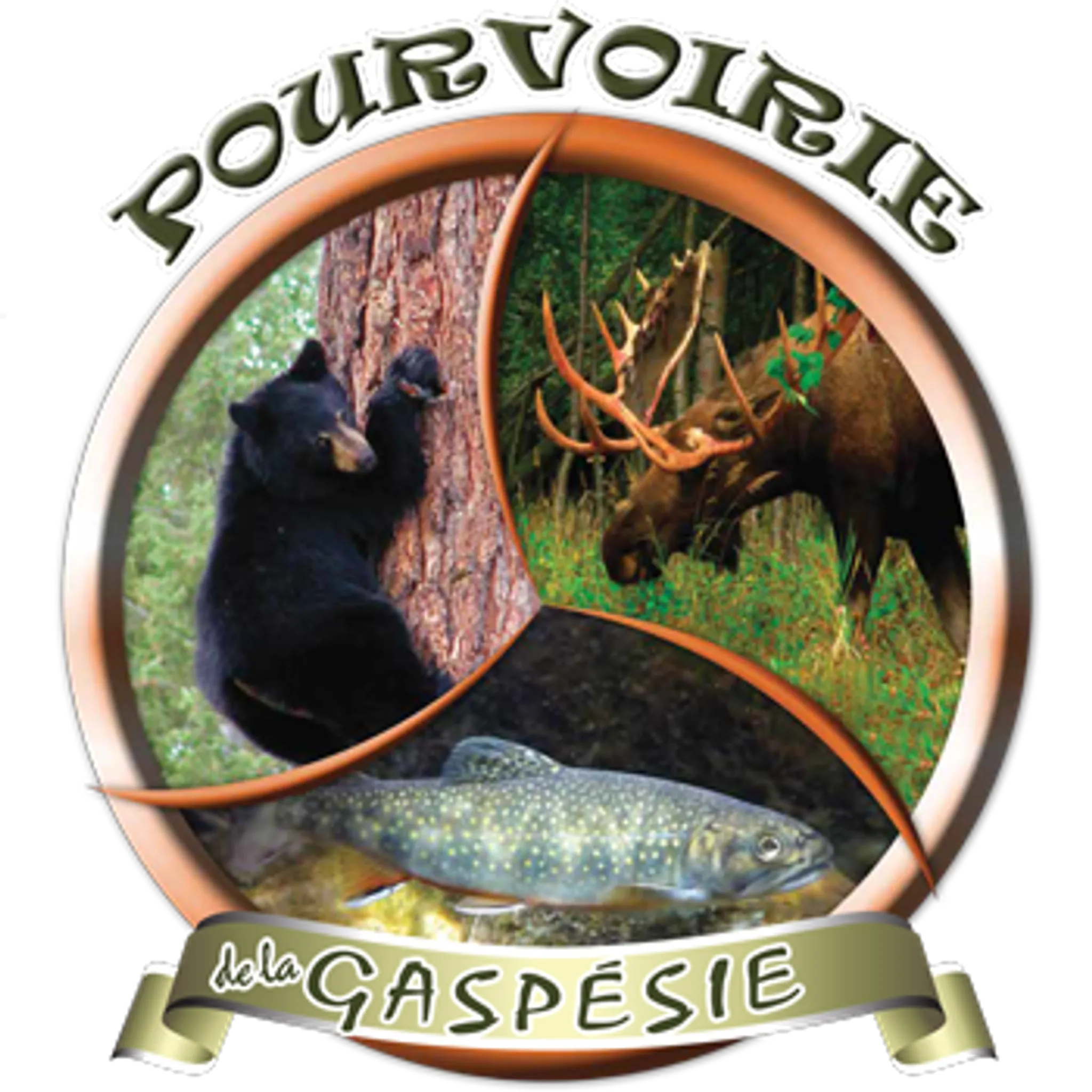 Pourvoirie de la Gaspsie