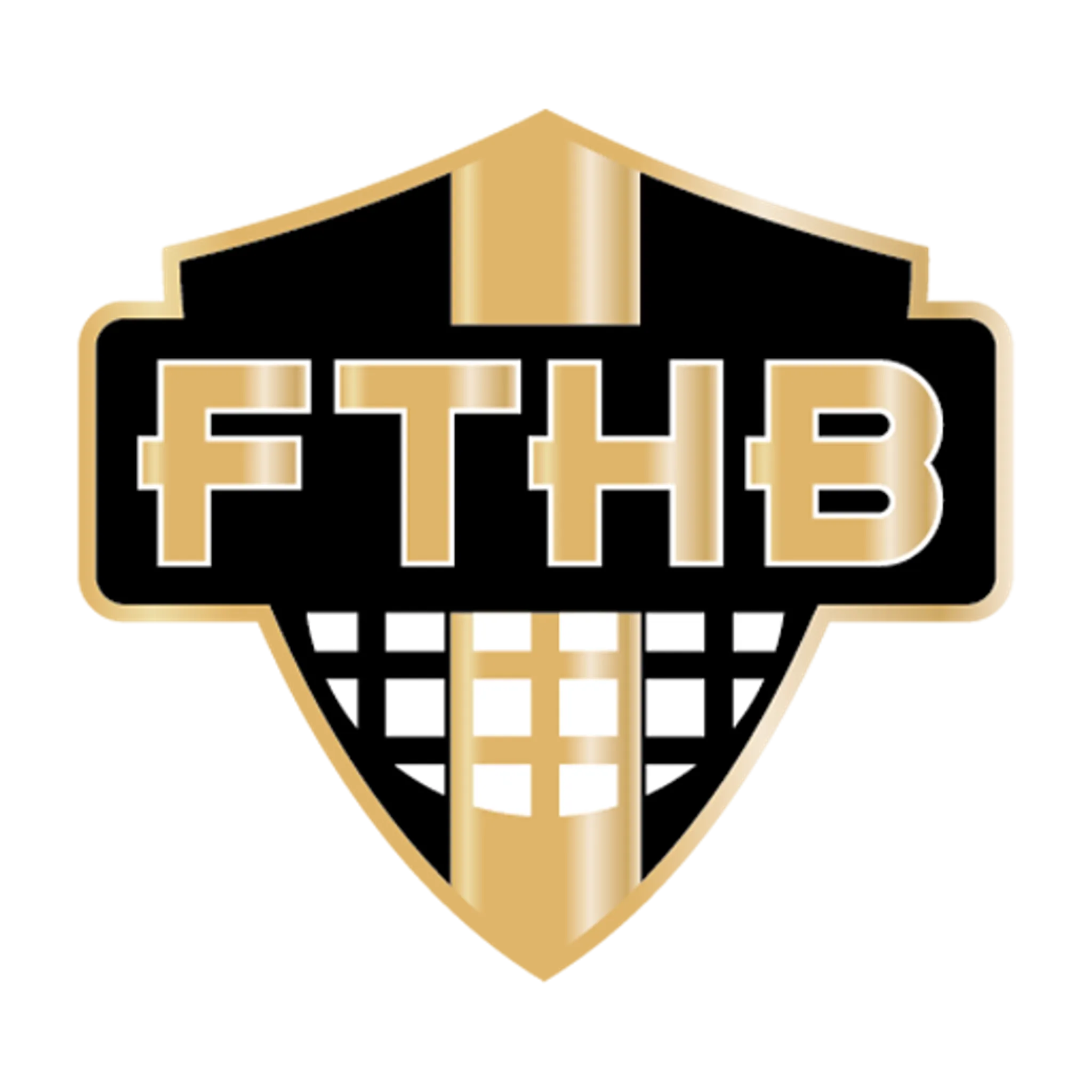 Frontignan Thau Handball