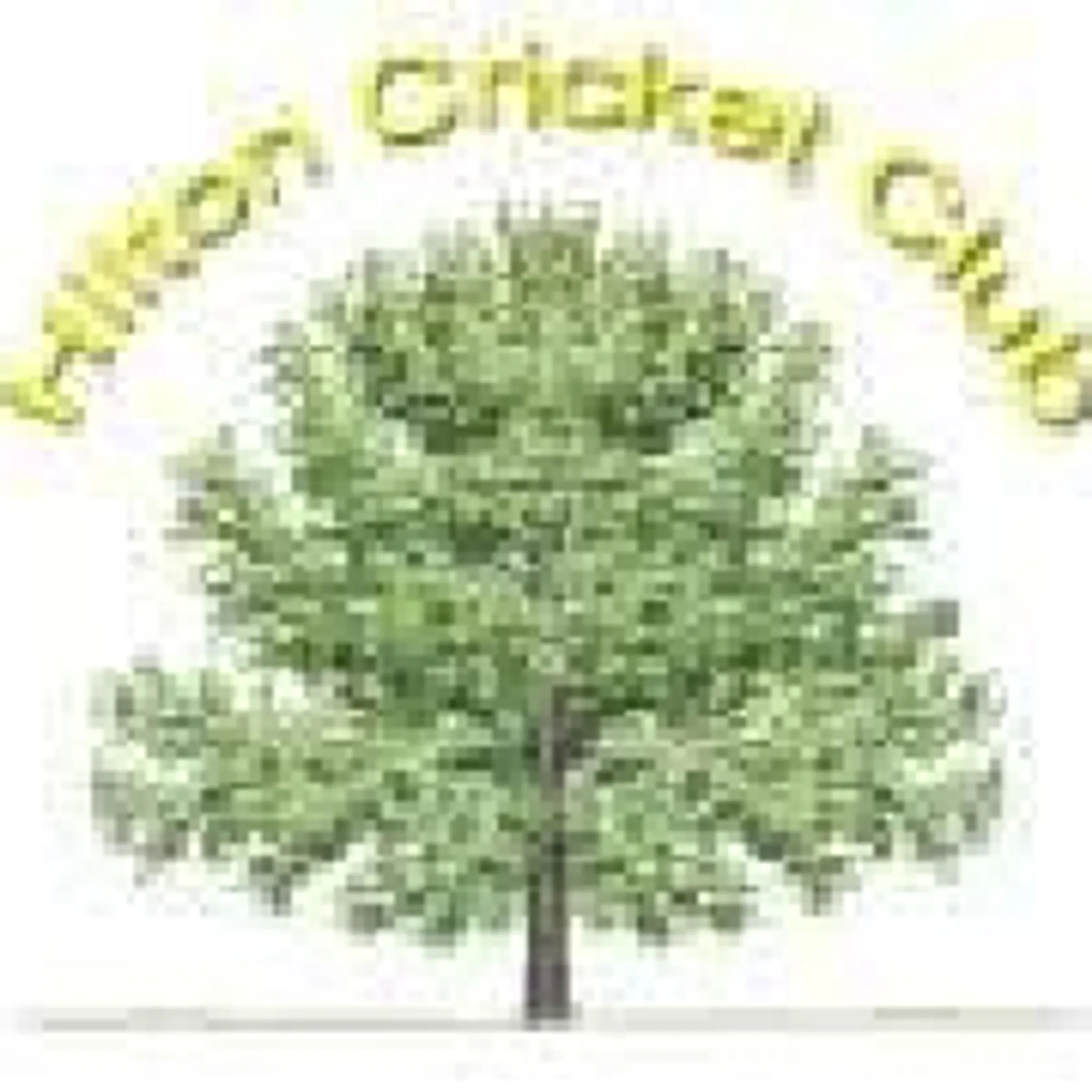 Hilton Cricket Club