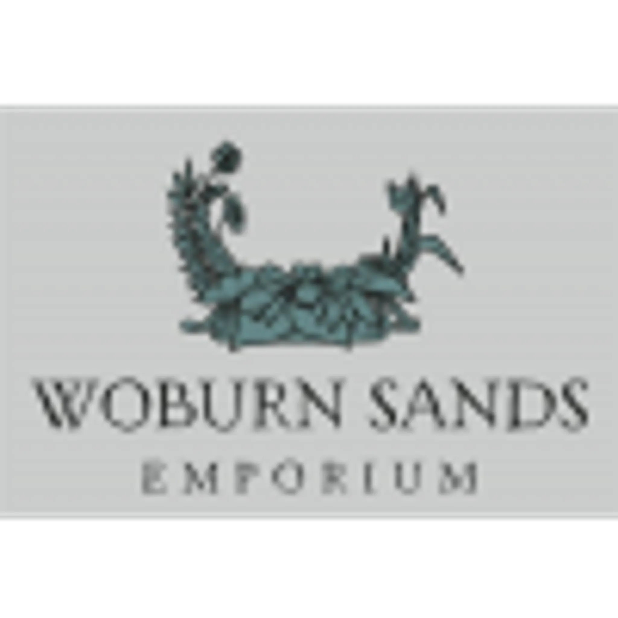Woburn Sands Emporium Ice Skating Rink