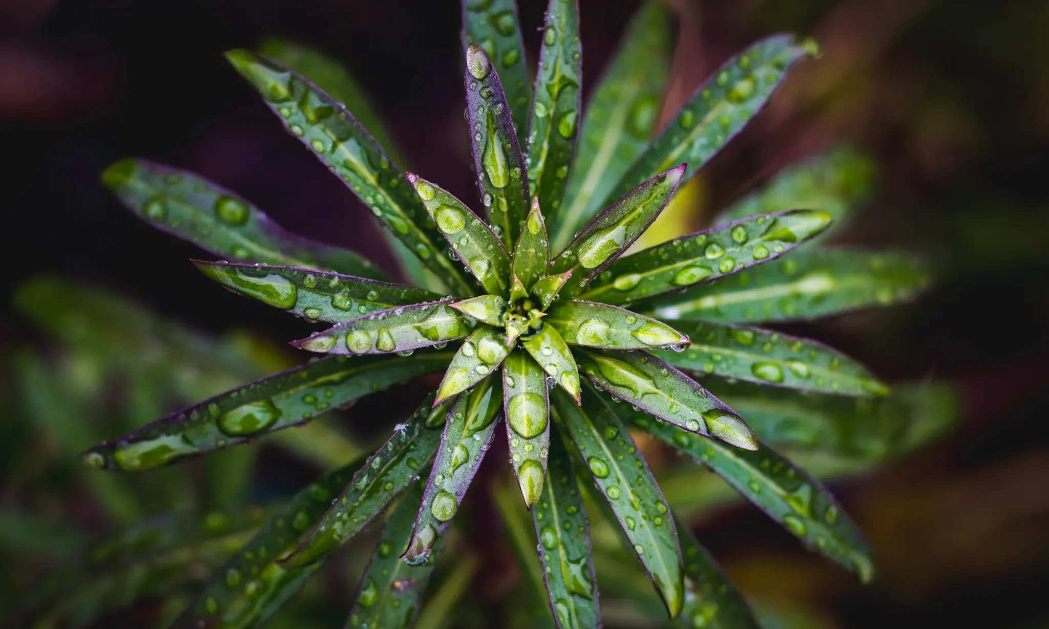 Craniosacral Therapy Home clinic