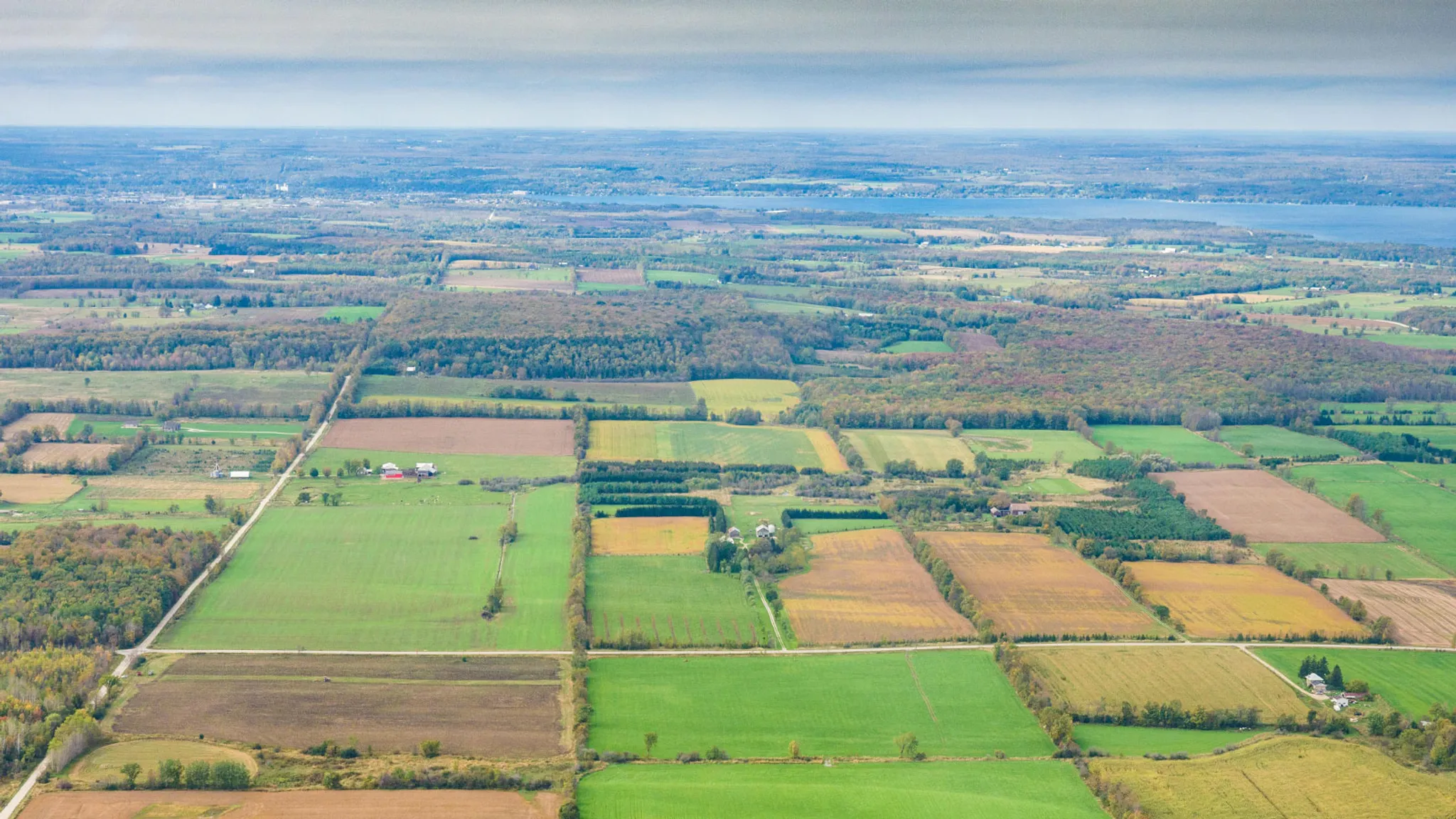 Community Volleyball Tournament