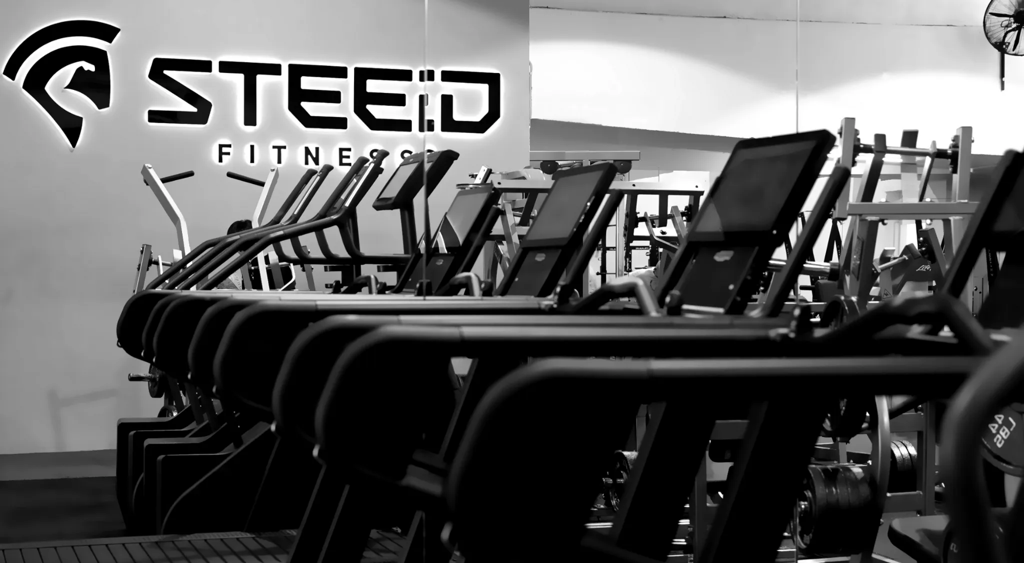 Steed Fitness