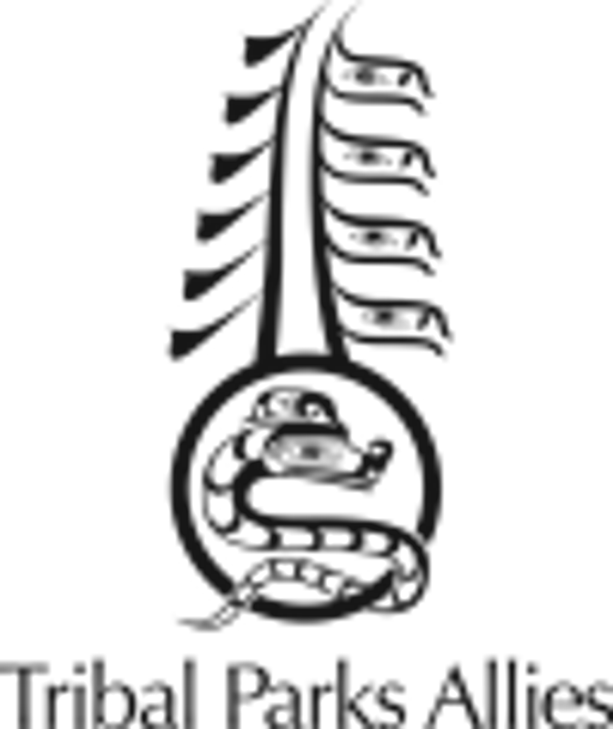 Tofino Breath and Meditation