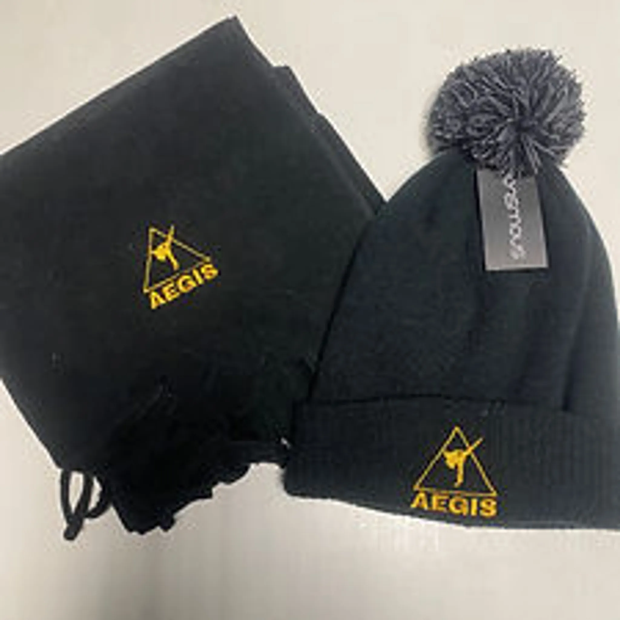 Leeds East AEGIS Martial Arts Academy