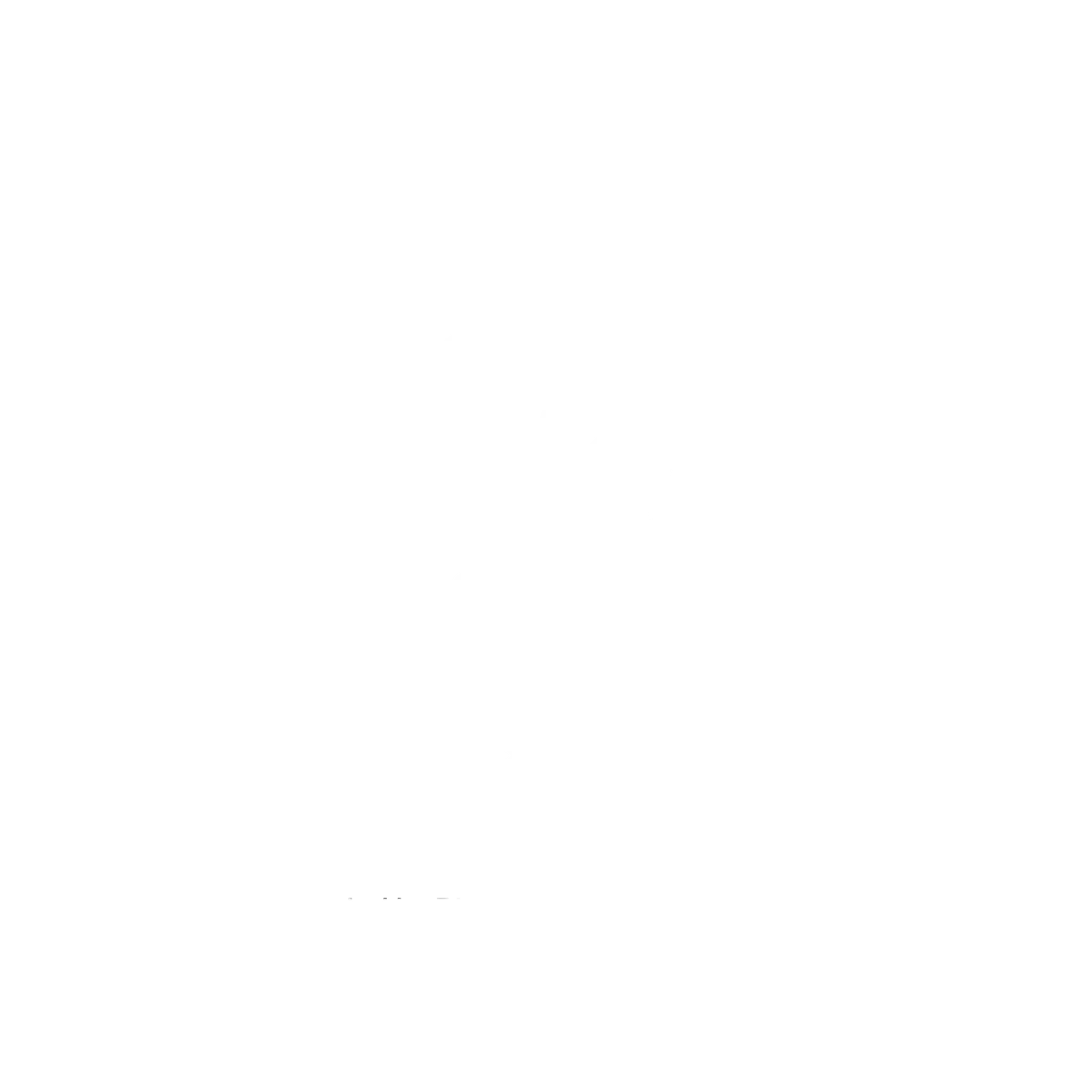 Dragons Netball Bell Park