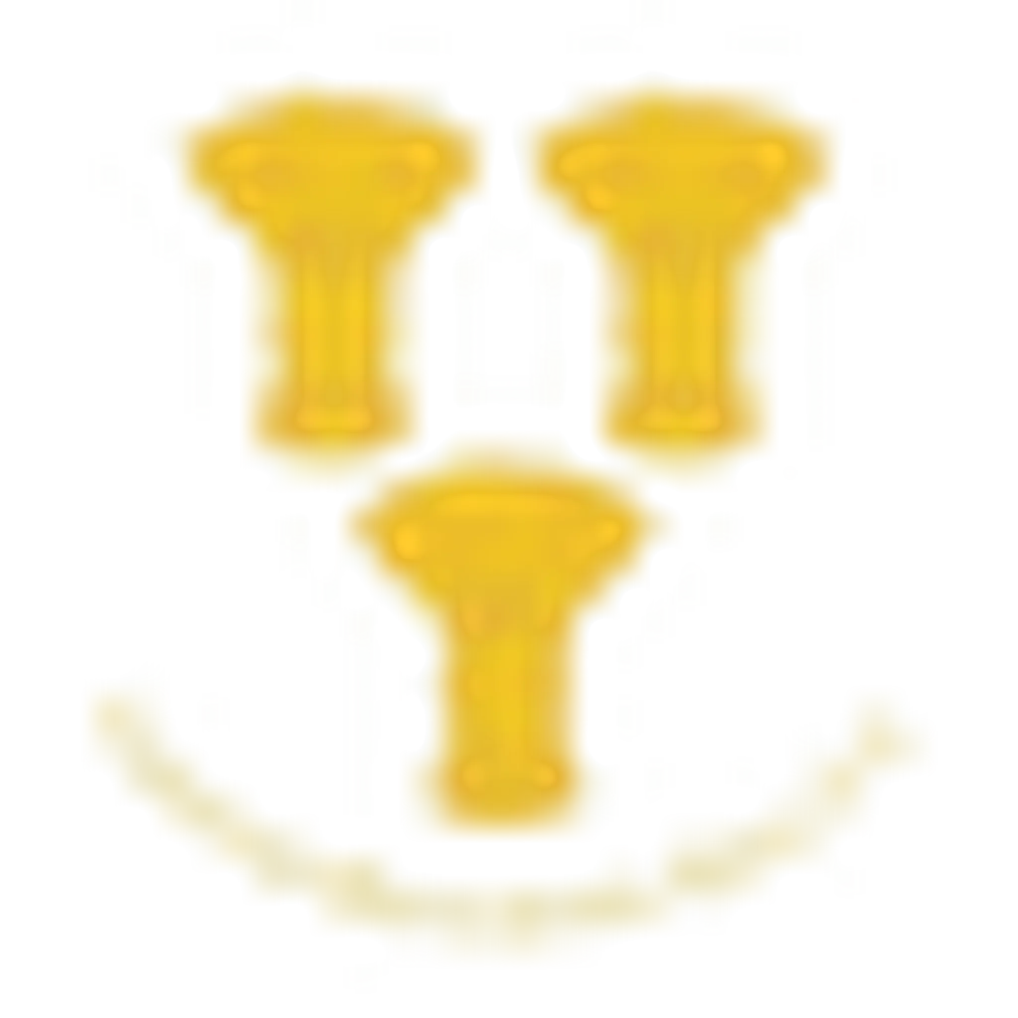 Chester Boughton Hall Cricket Club, Chester