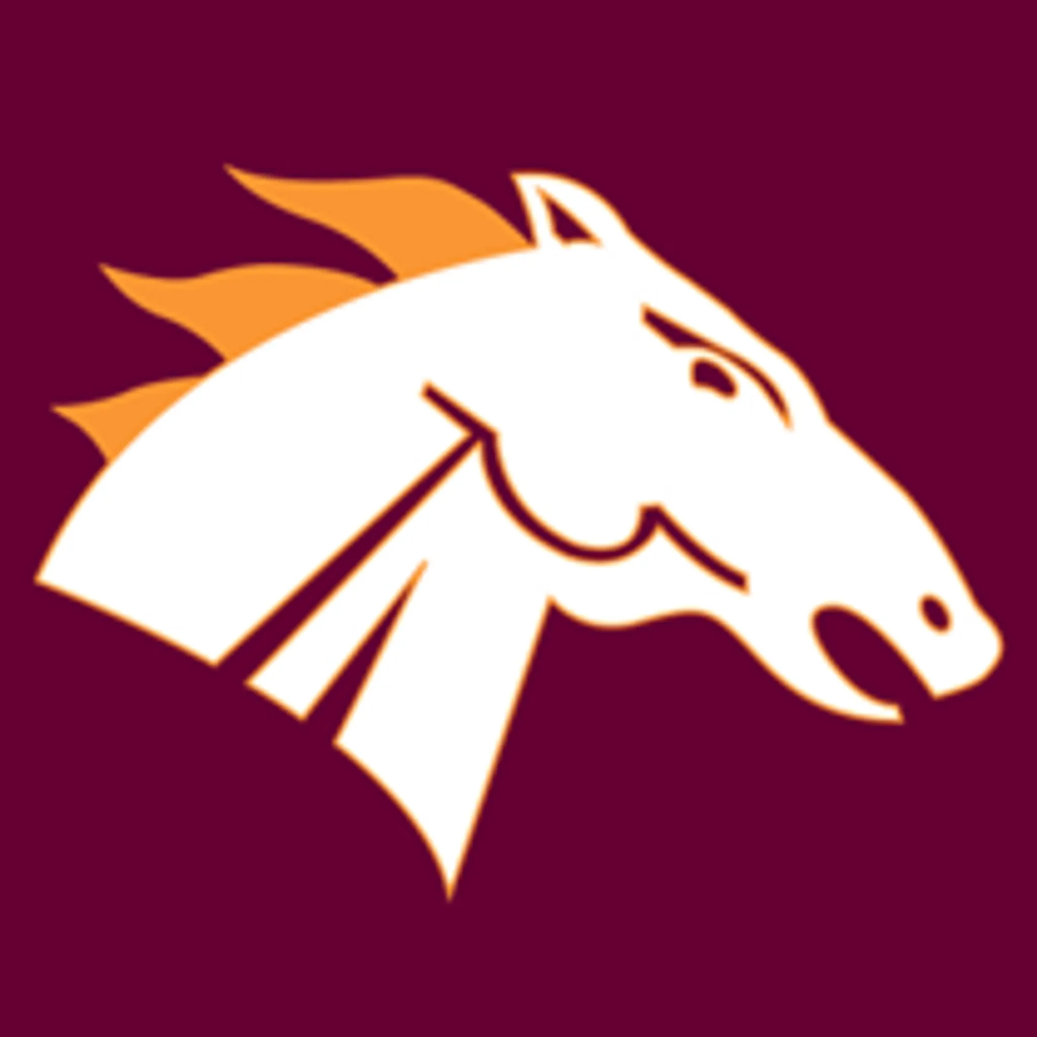 Whitehorse Pioneers Football and Netball Club