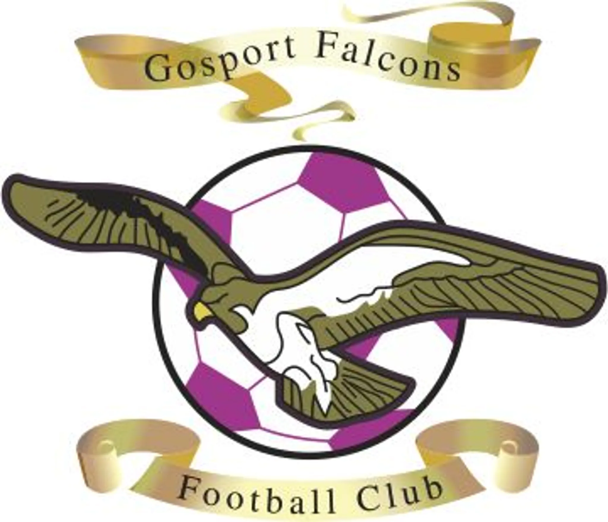 The Monckton Sports Ground Gosport Falcons FC