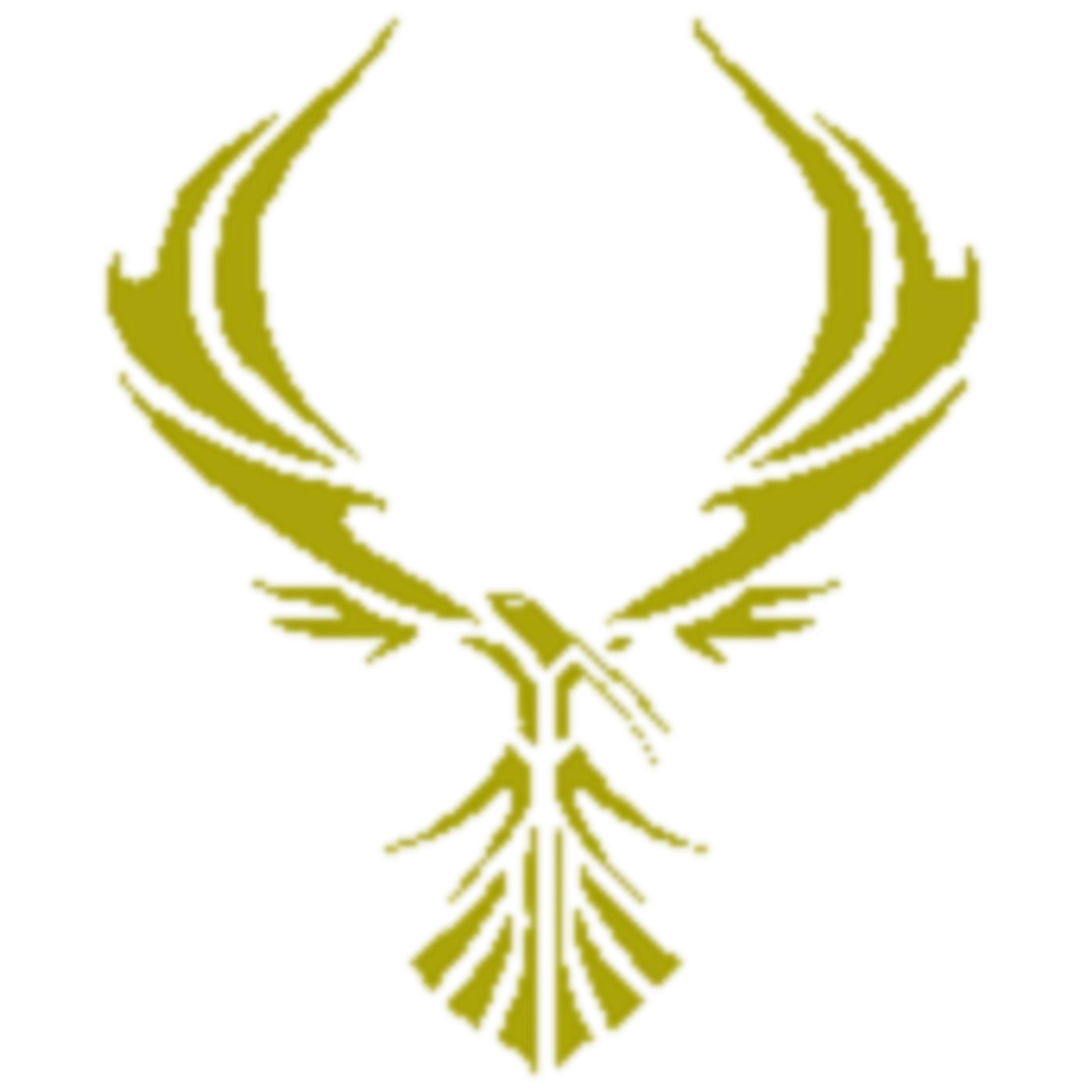 Team Jorvik (Swimming Club in York)