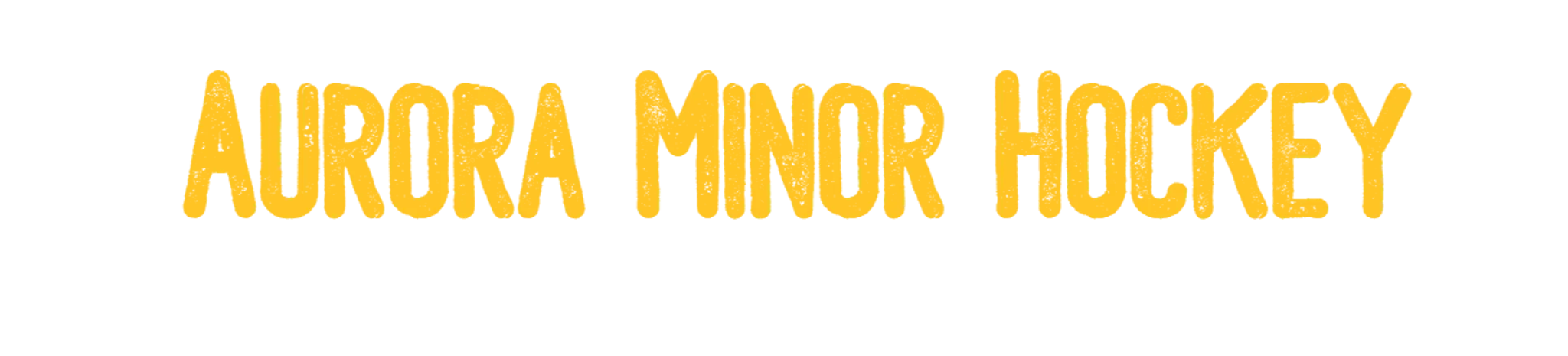 2024 - 2025 Tryout Passport (Aurora Minor Hockey)