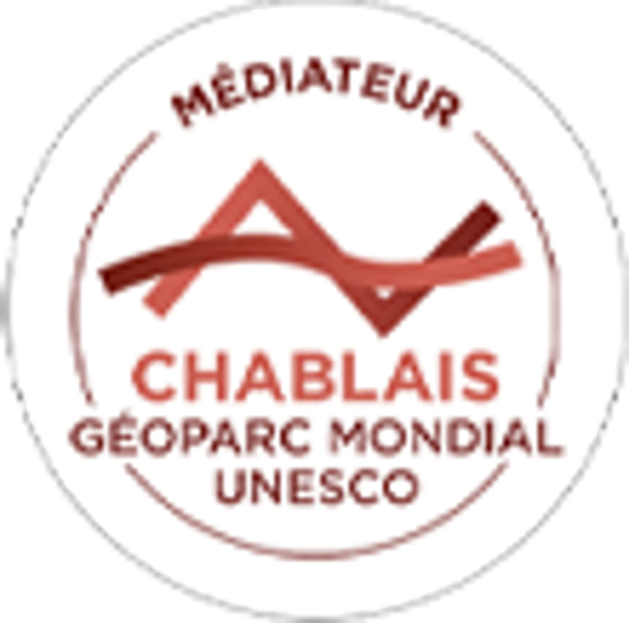 Frogs Rafting Office Bureaux