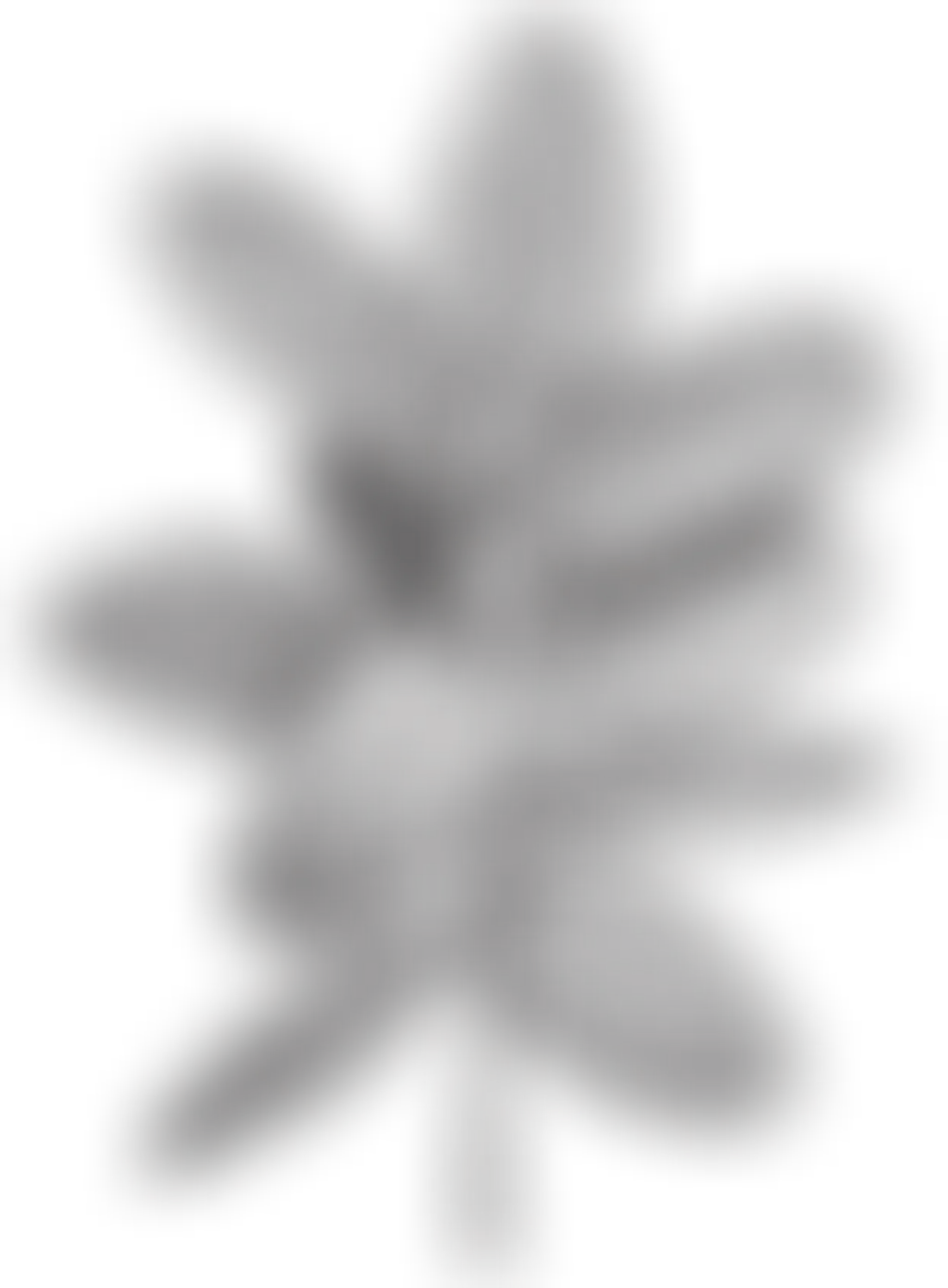 Anne Barron Mobile Massage