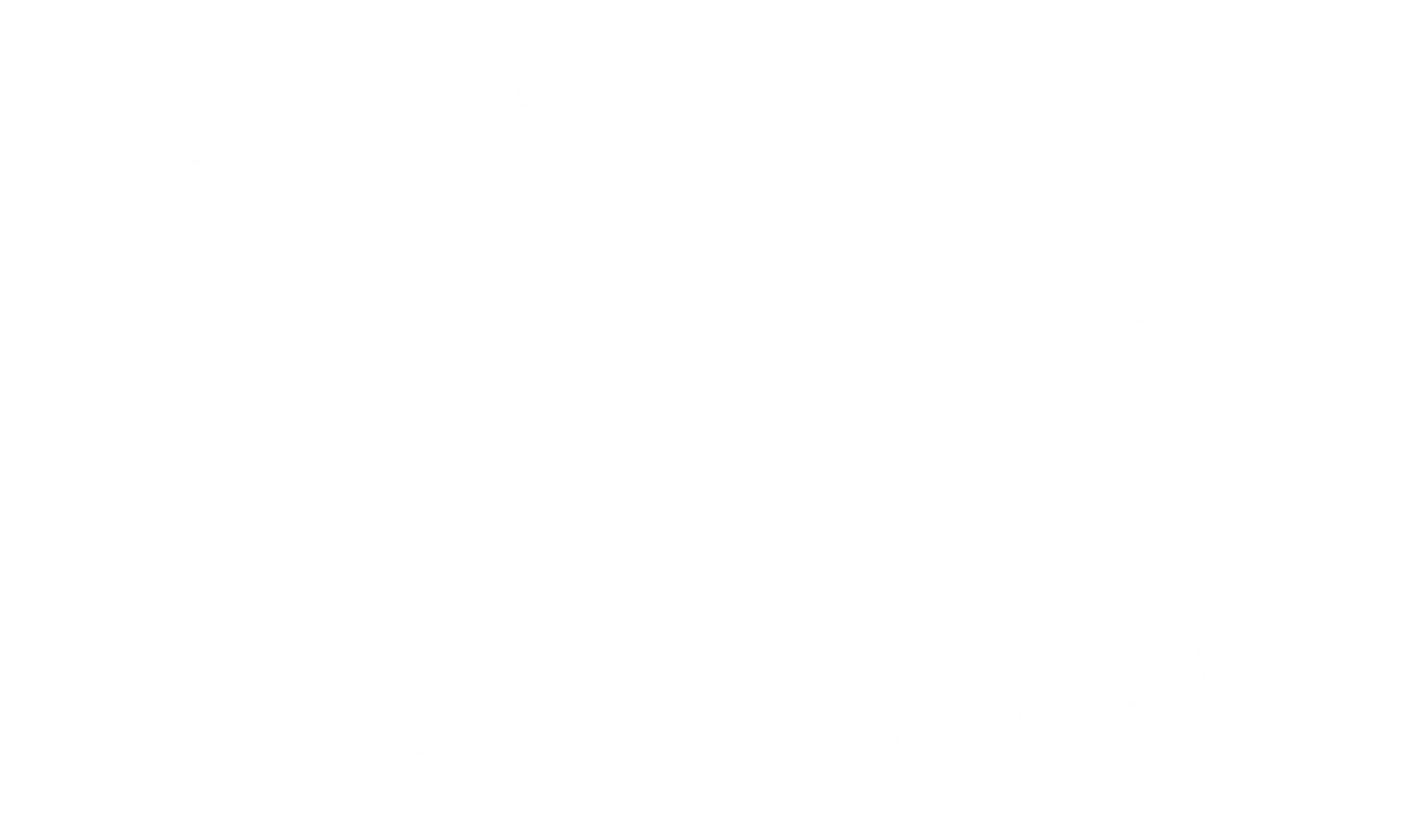 TeamCC