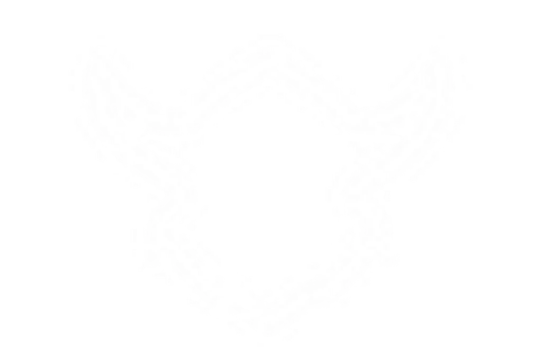 Windsor Warriors Basketball Club