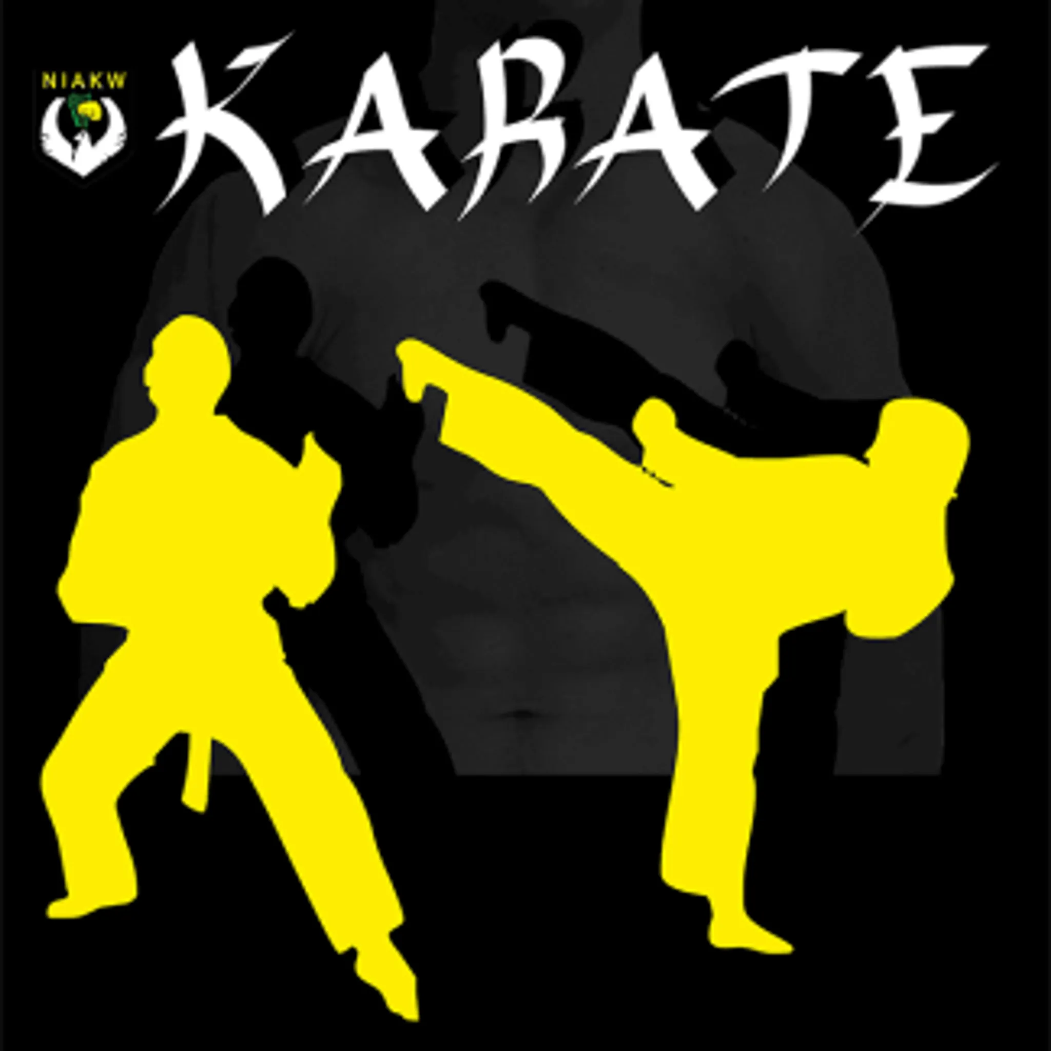 Dungannon Karate Class (NIAKW)