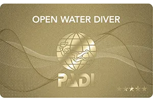 PADI Divemaster Course in Sydney