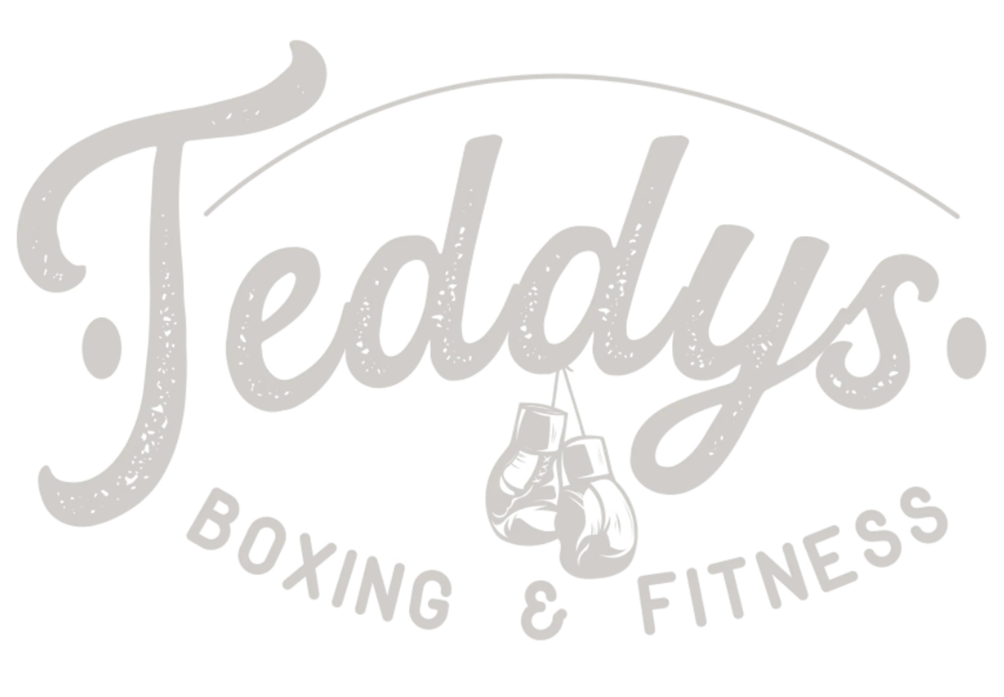Teddys Boxing & Fitness
