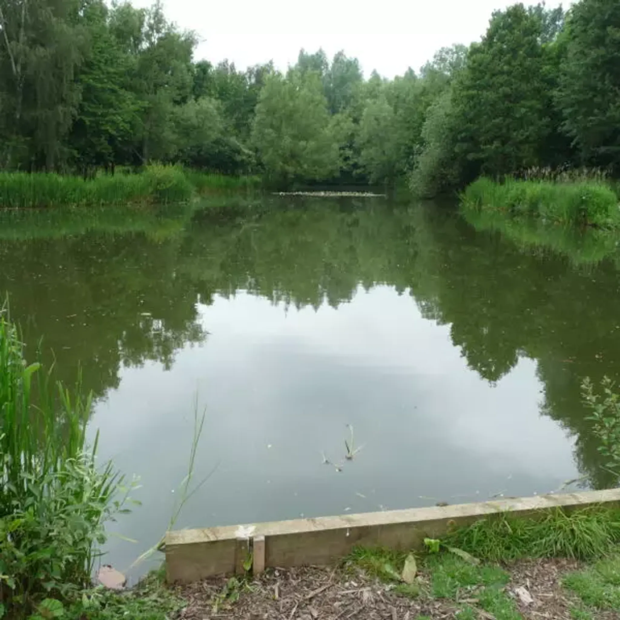 Hamstall Fishery