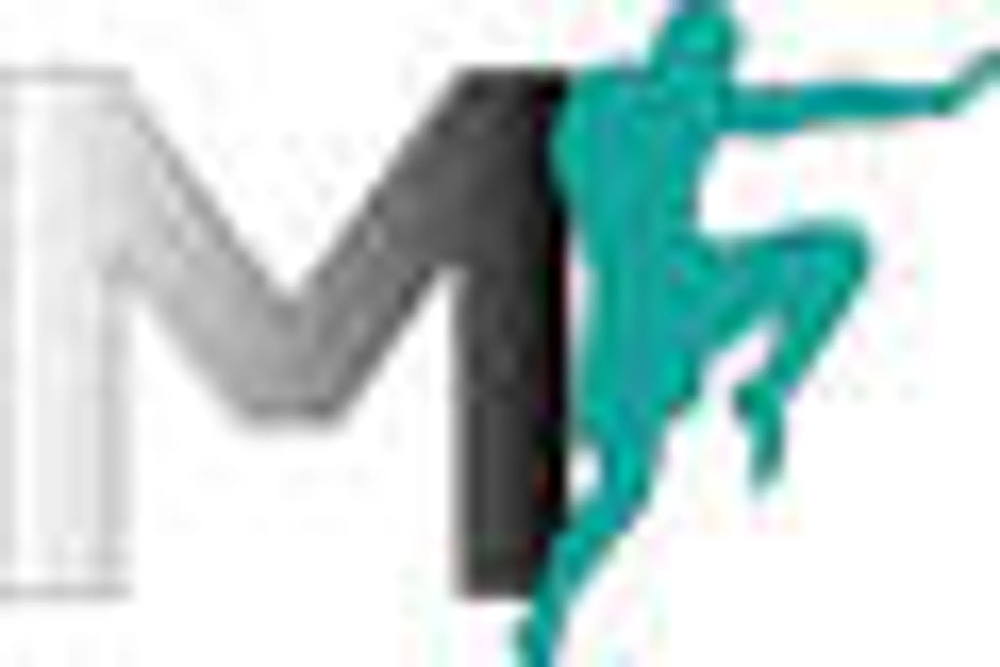 Martial Fitness Coaching