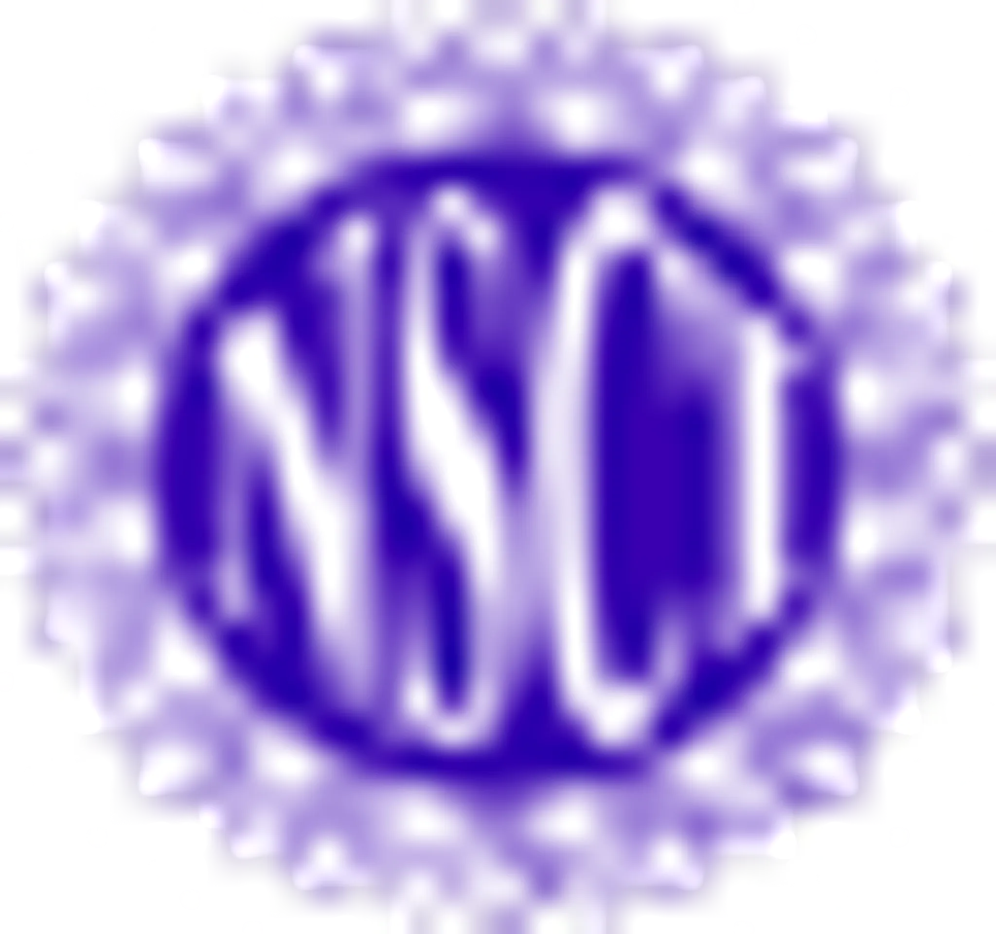 National Sports Club of India