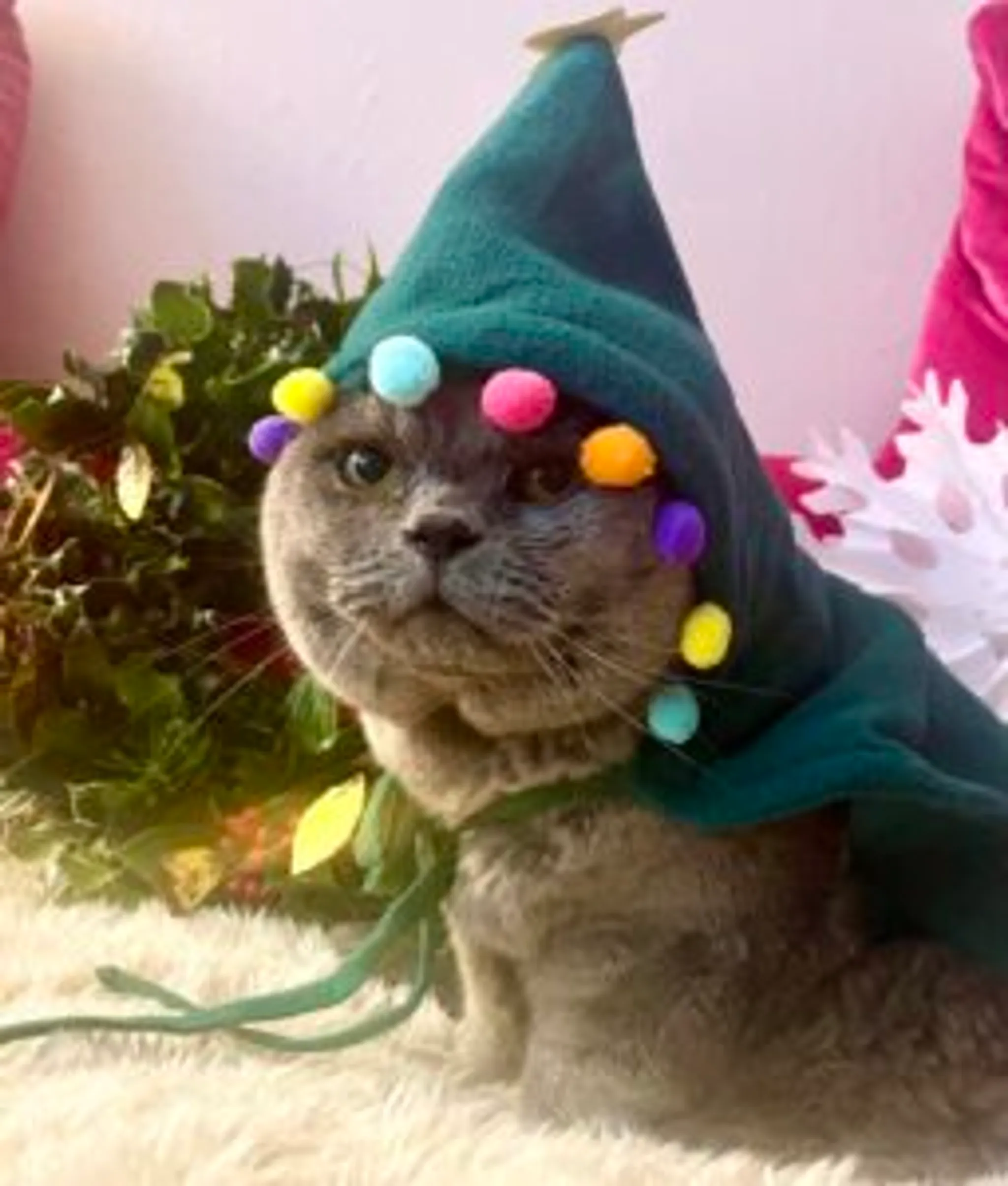 Bea Alexander Pilates