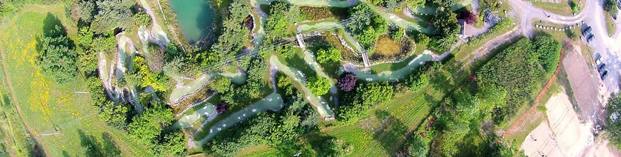 Kingston Expert Tees