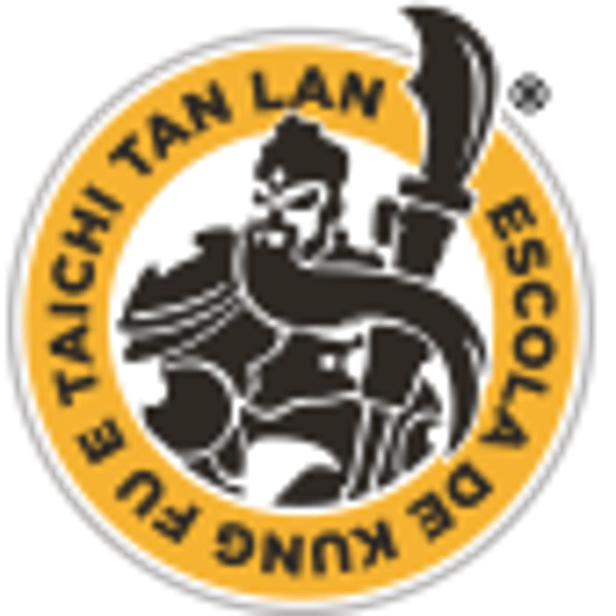 Kung Fu and Taichi Tan Lan School
