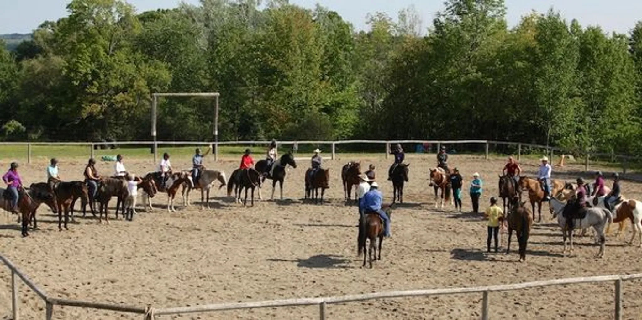 Working Student Horsemanship Development Program