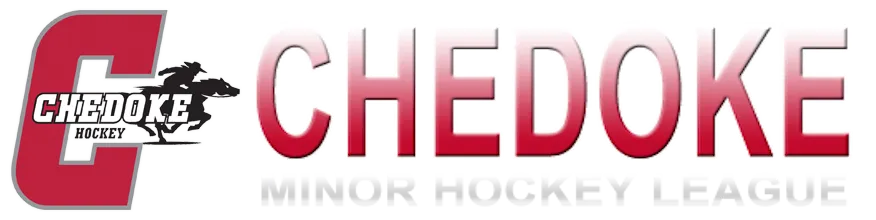 U18 Express vs Waterloo Wolves Hockey Tournament Game