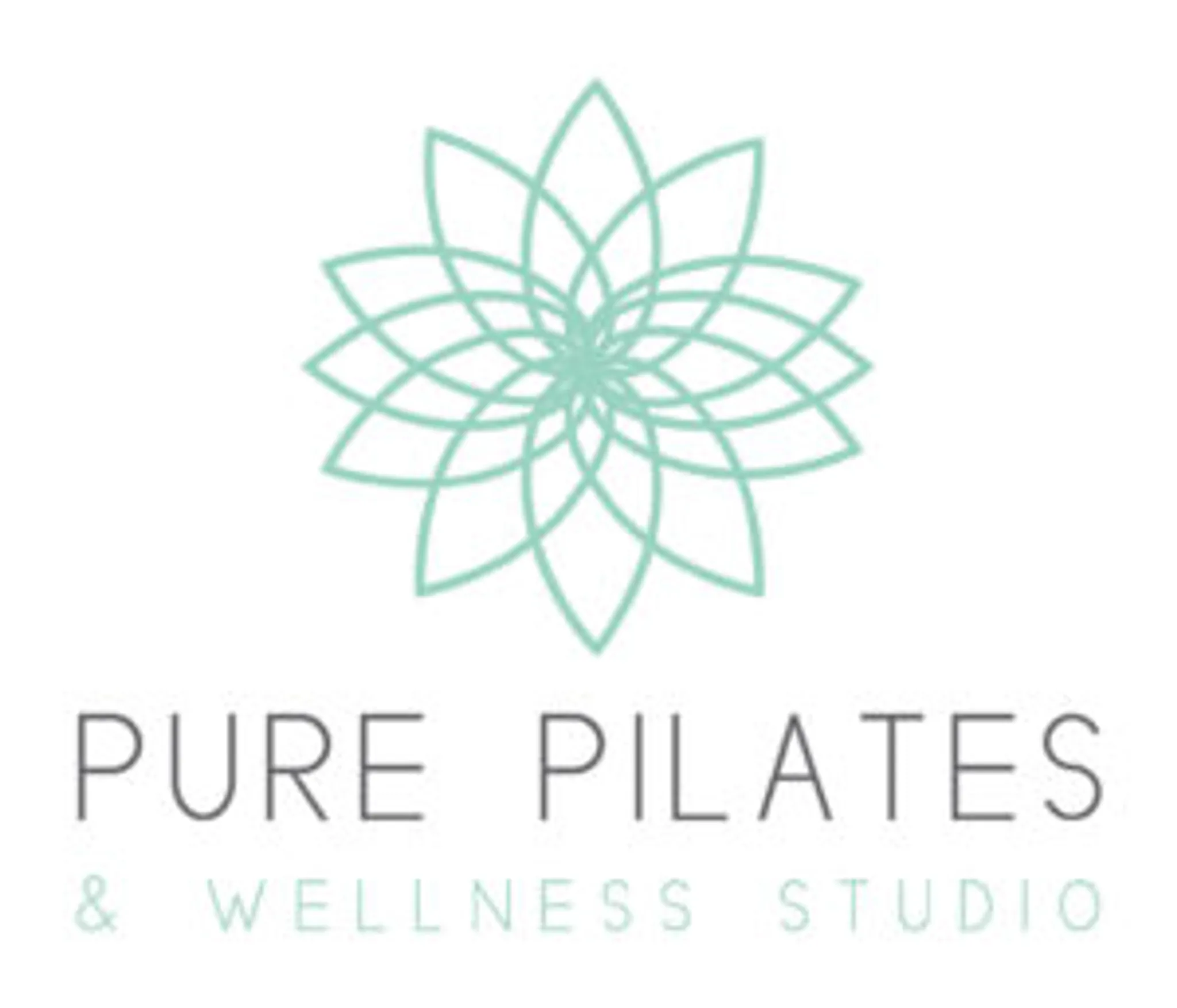 Pure Pilates and Wellness Studio