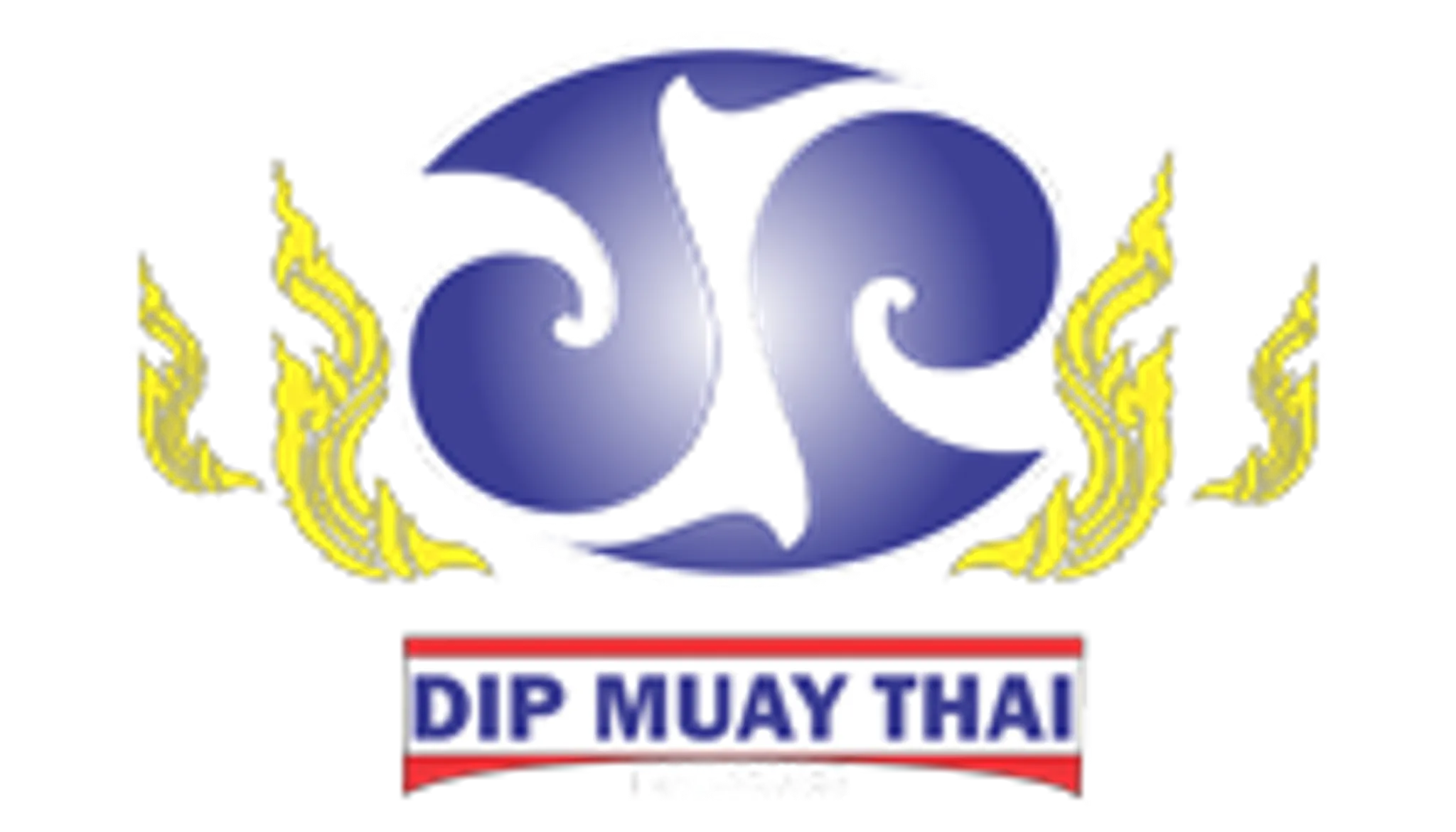 DIP MUAY THAI -Fitness & Martial Art Studio