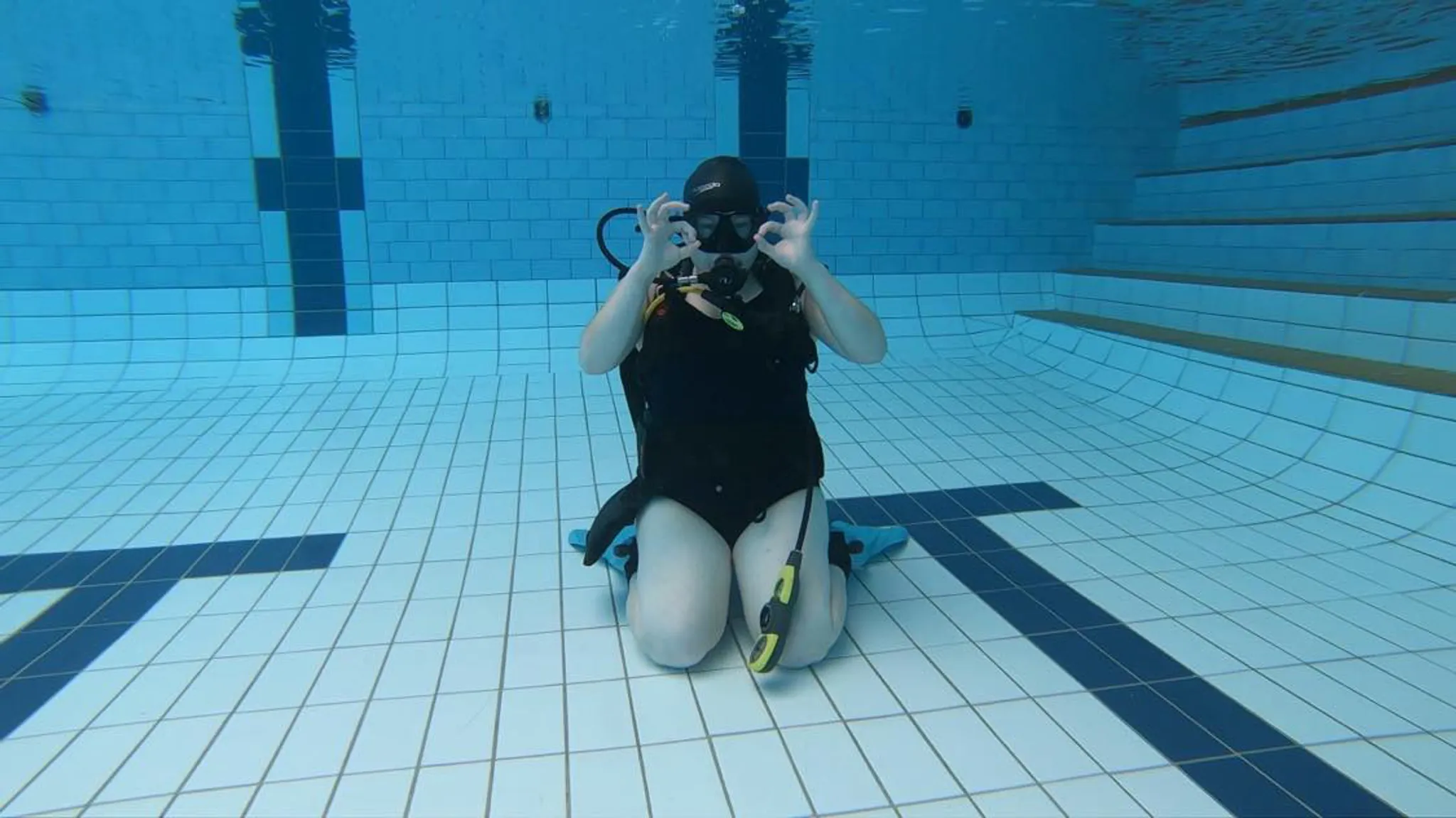 Dive with Grey Nurse Sharks in Forster & Seal Rocks
