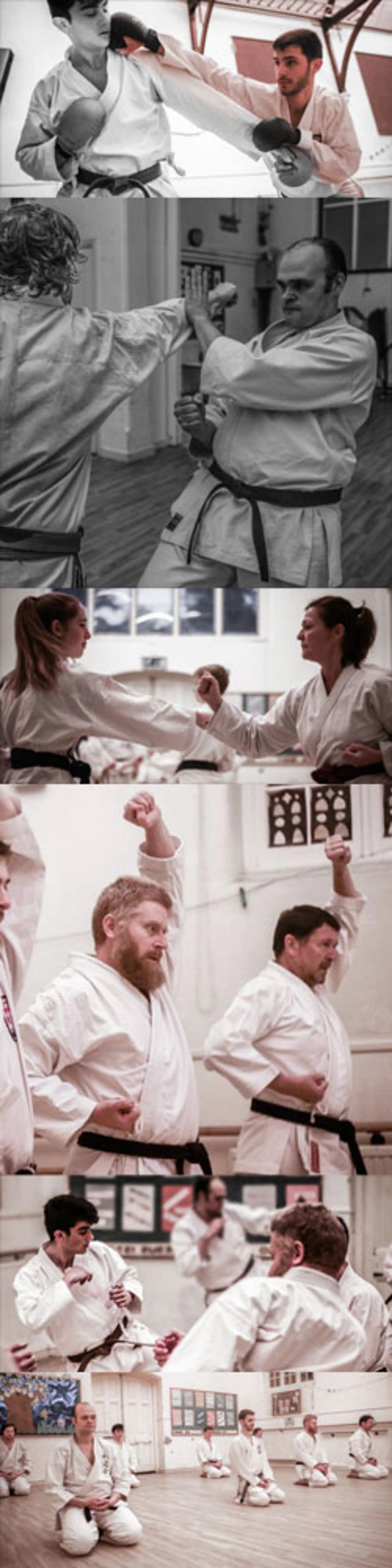 Kata & Kumite training