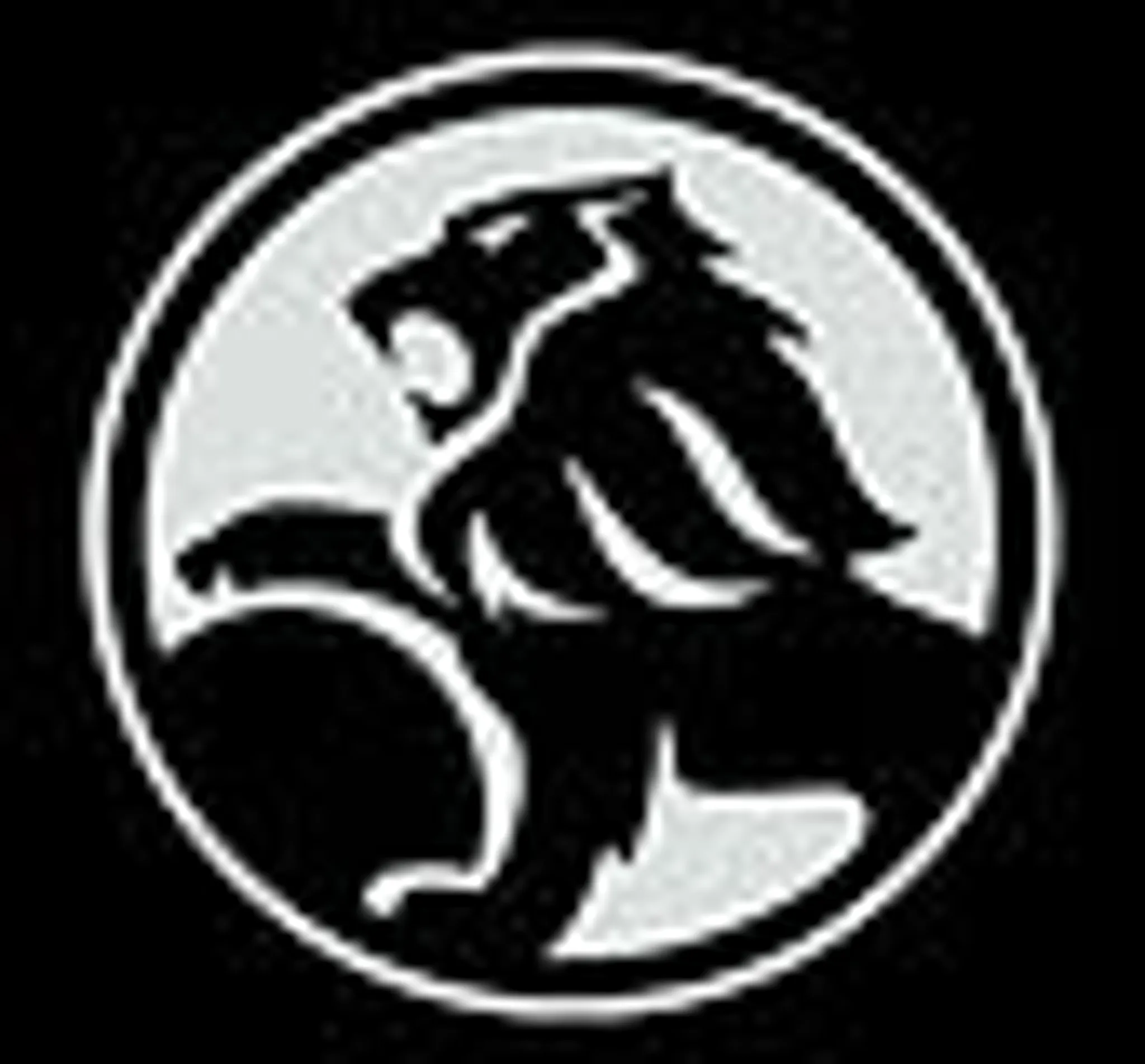 Hillsborough Car Museum, Luge and Mini Golf (putt putt)