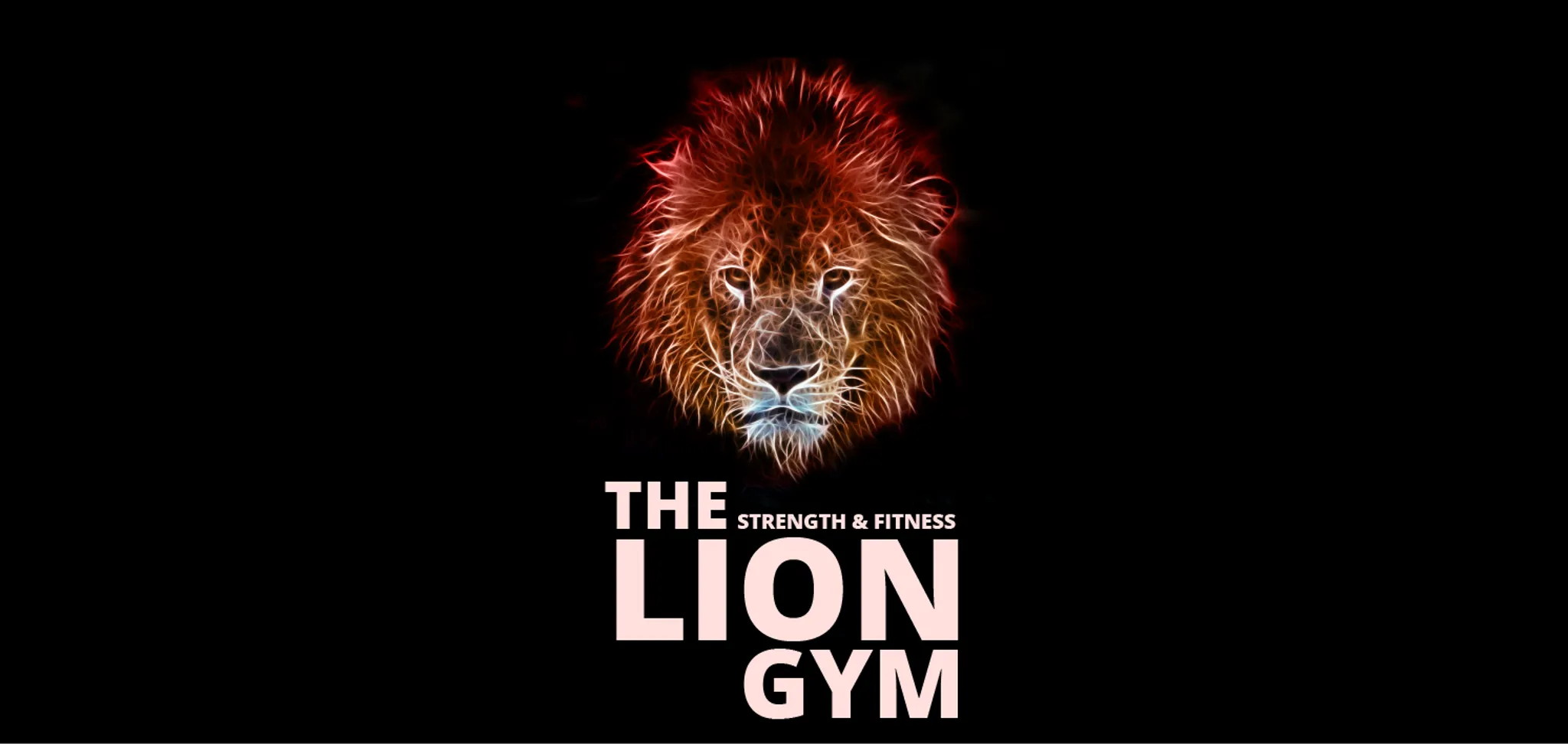 The Lion Gym & Boxing Club Bradford