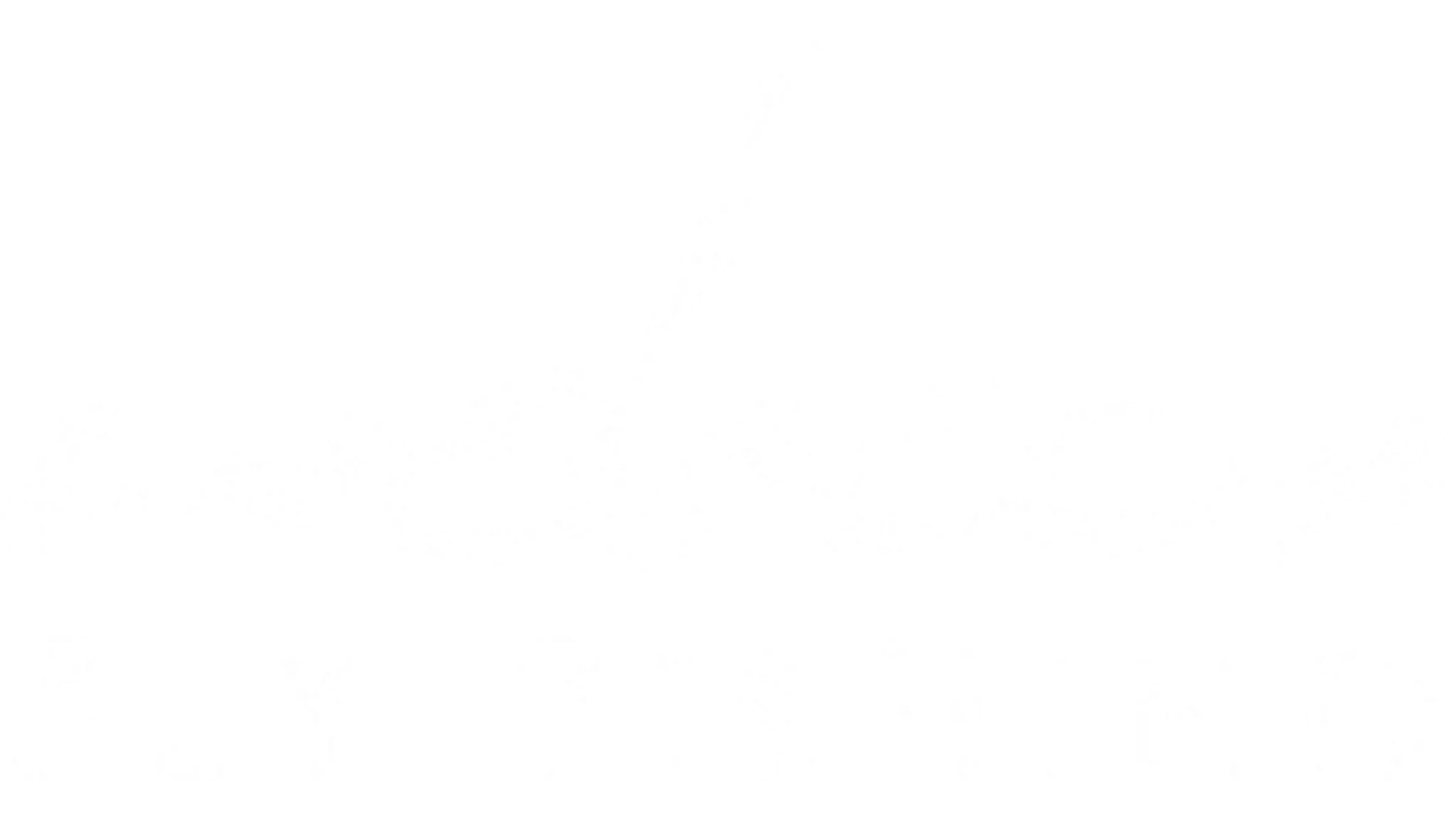 Mackay Fly & Sportfishing