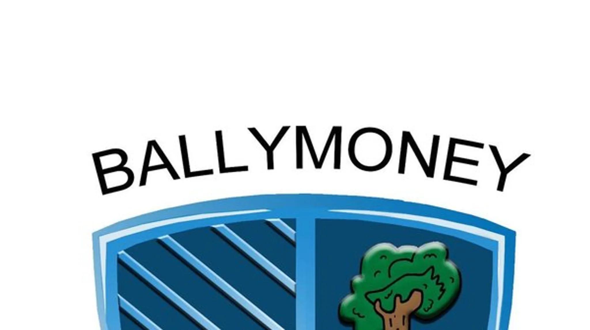 1st XI Coaching Opportunity