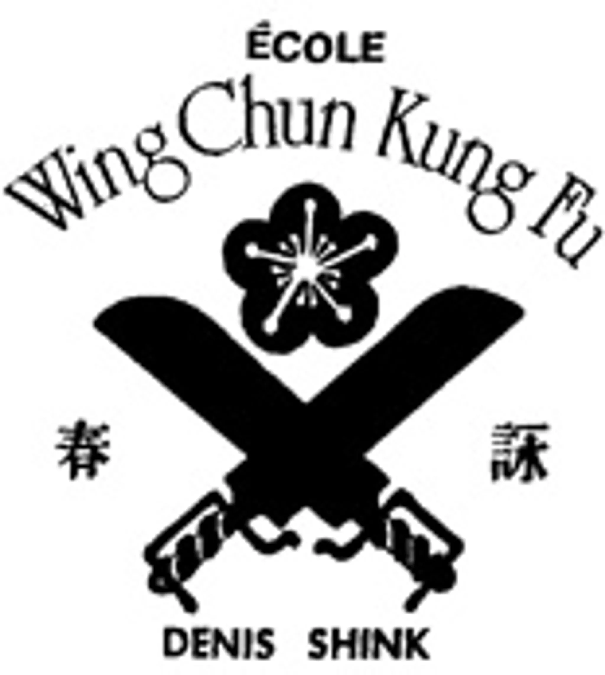 Institute Martial Arts Denis Shink