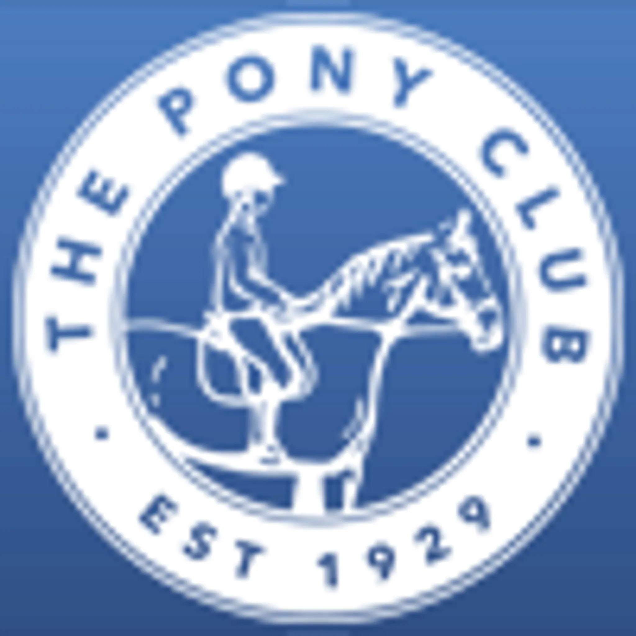 Swansea & District Pony Club