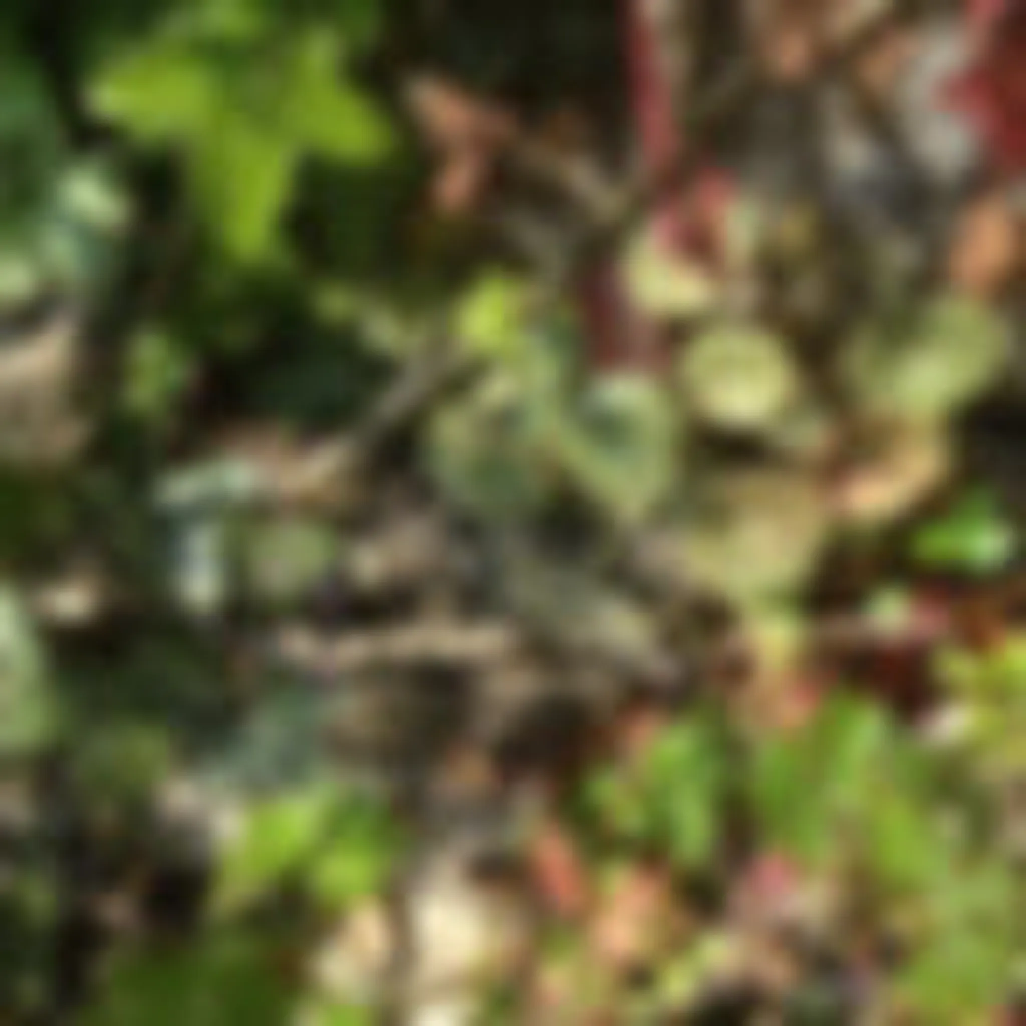 The International Hermeneutic Society