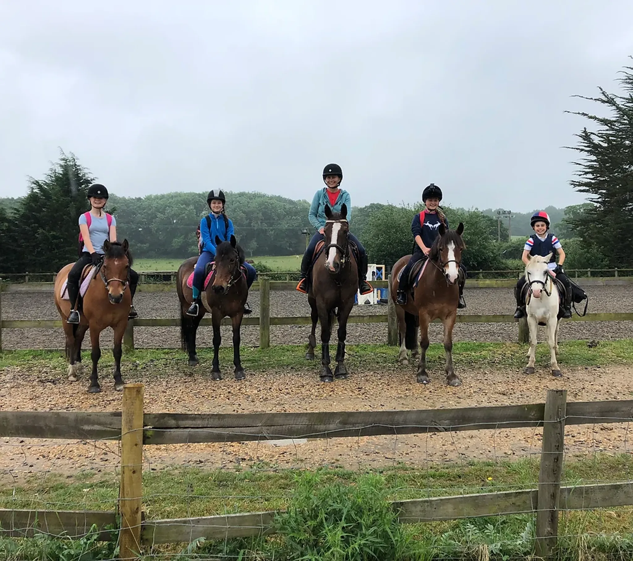 Trotters Riding School and Livery Yard