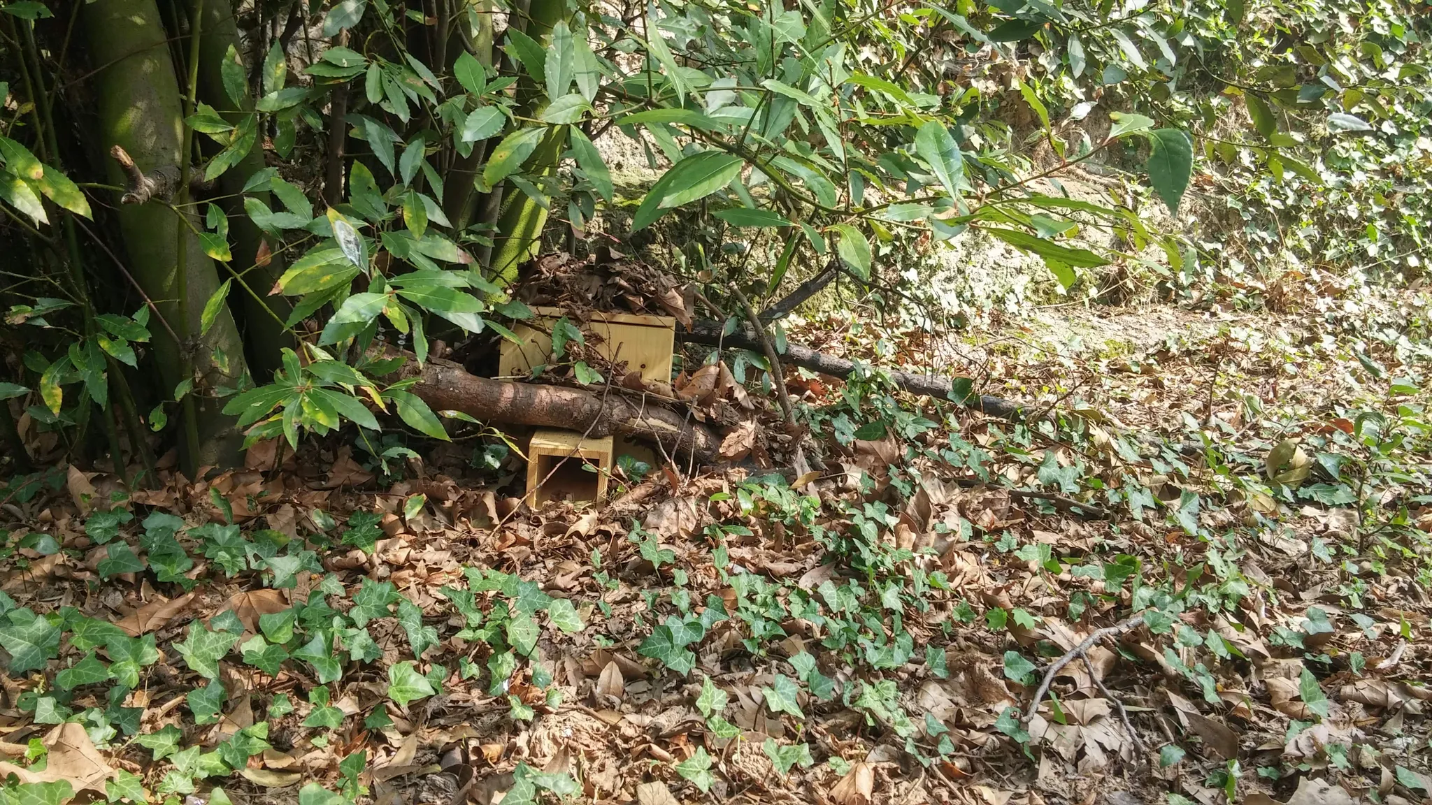 Aire de Remise en Forme