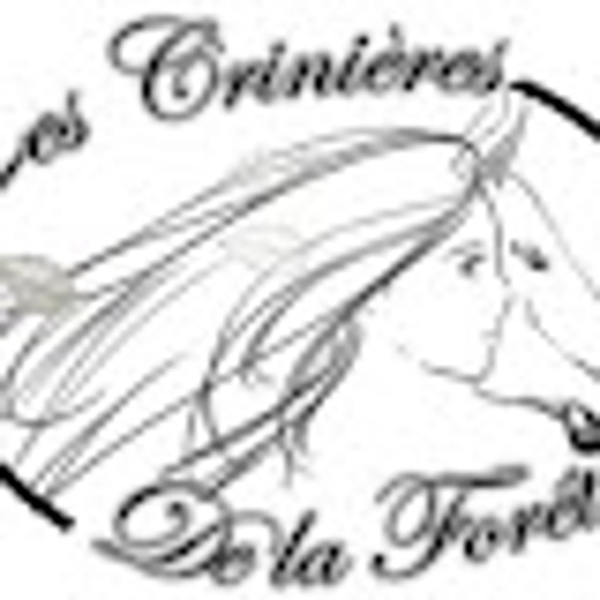 Les Crinieres De La Foret